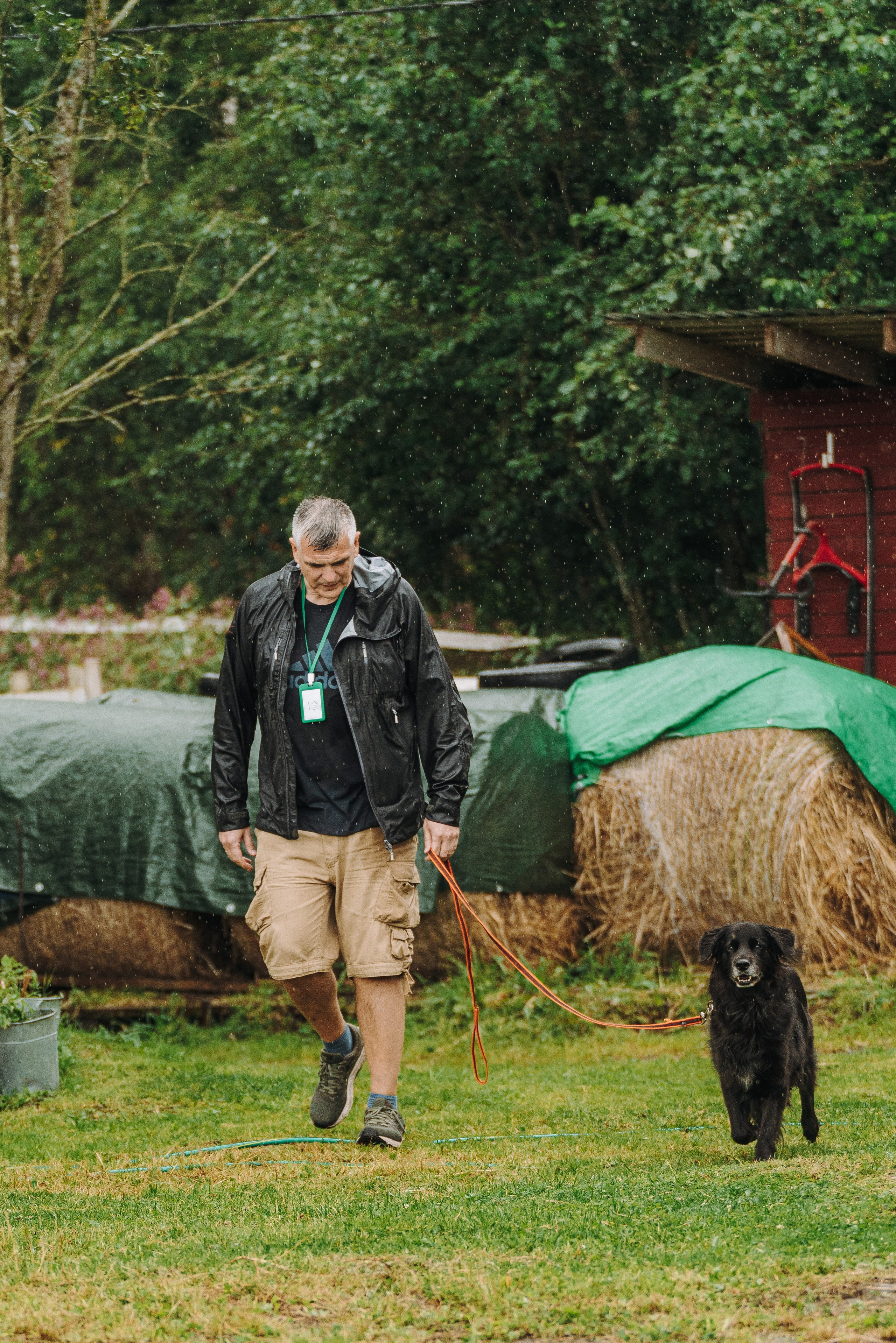 Соревнования по ноузворку в Новожилово. Фотограф анималист в Спб недорого Олеся Майорова