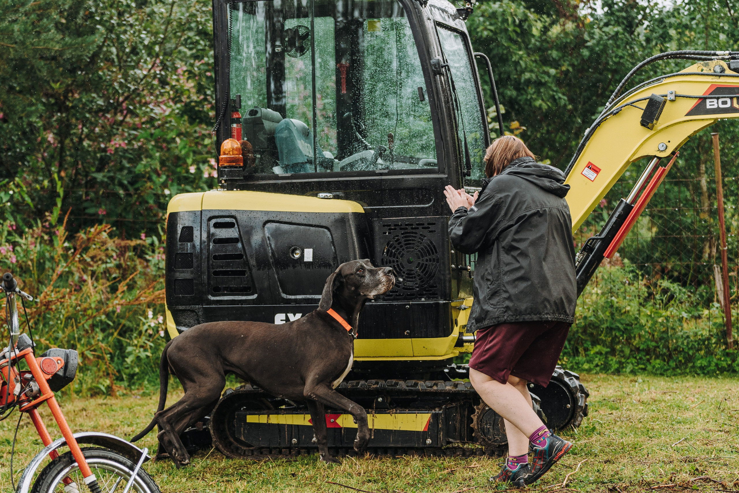 Соревнования по ноузворку в Новожилово. Фотограф анималист в Спб недорого Олеся Майорова