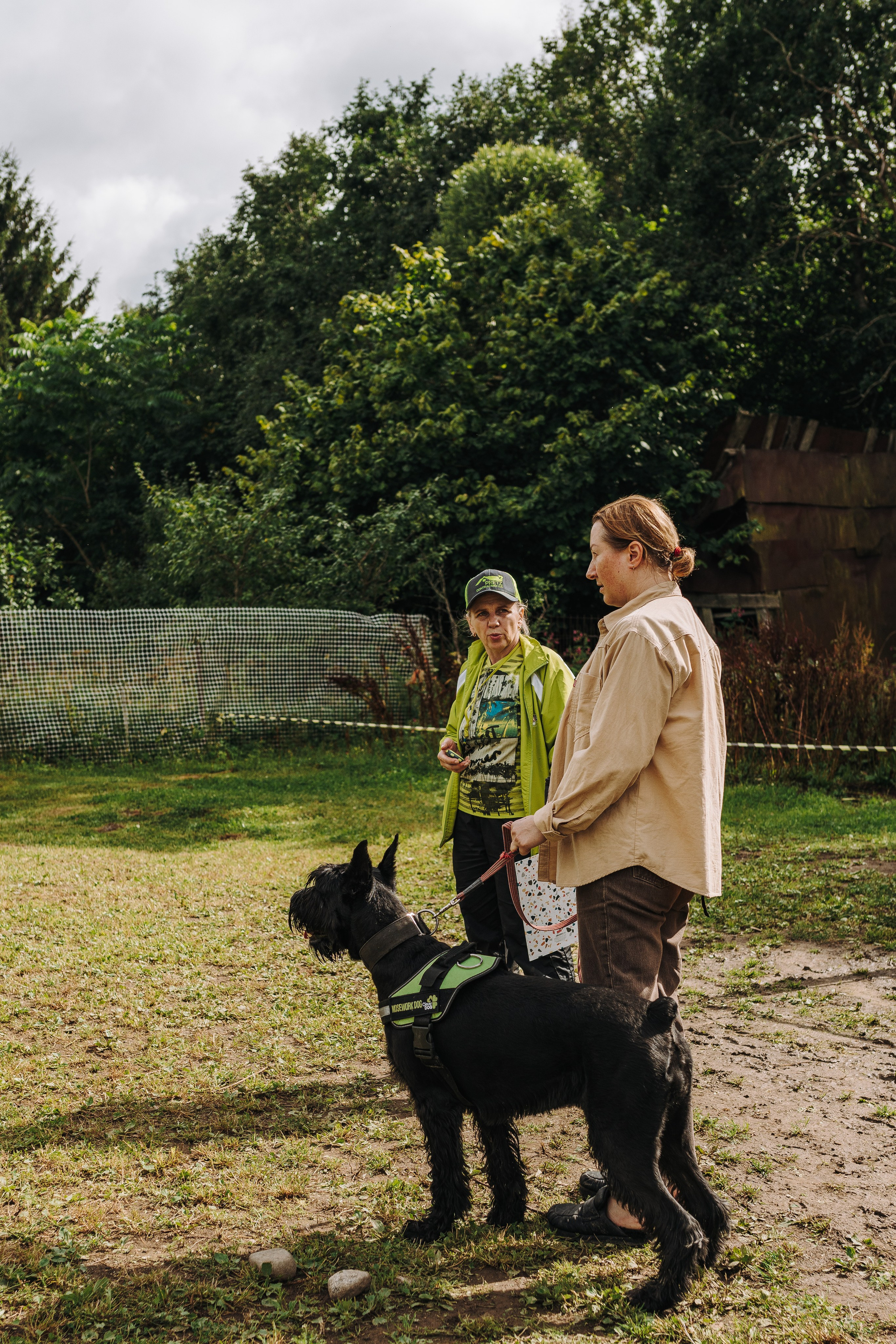 Соревнования по ноузворку в Новожилово. Фотограф анималист в Спб недорого Олеся Майорова