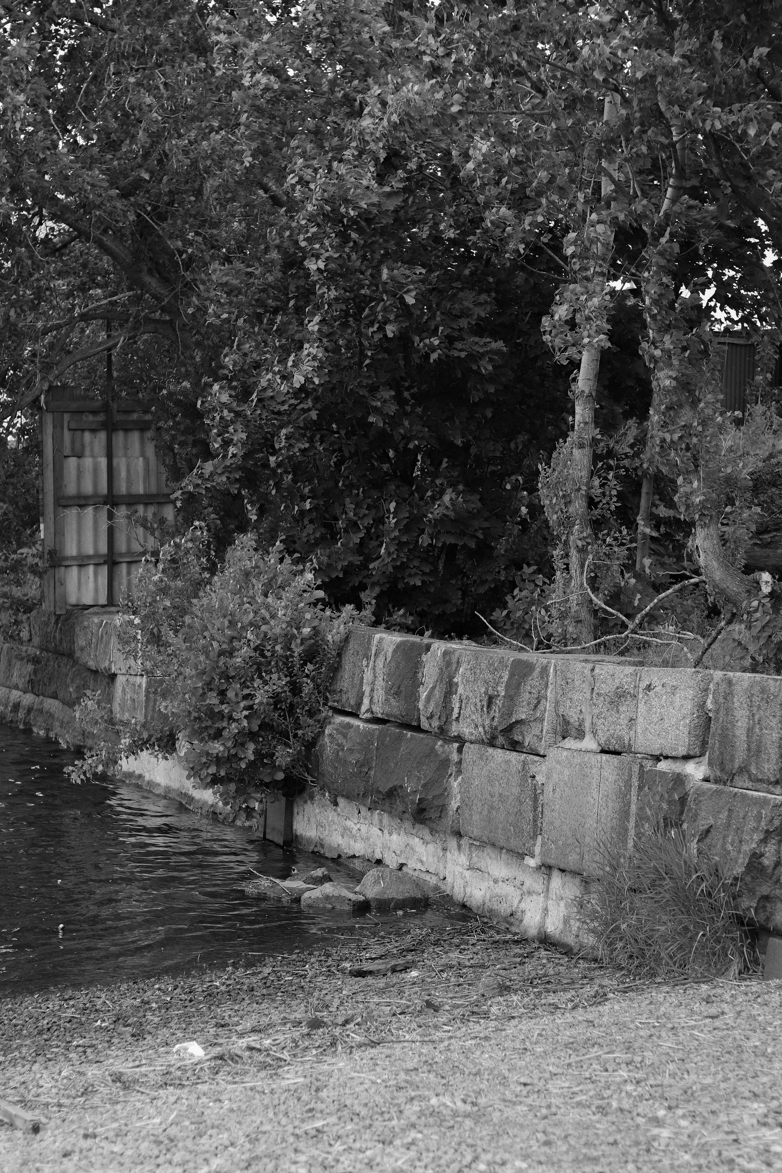 Contour. Фотограф и исследователь фотографии из Санкт-Петербурга Елизавета Веприцкая