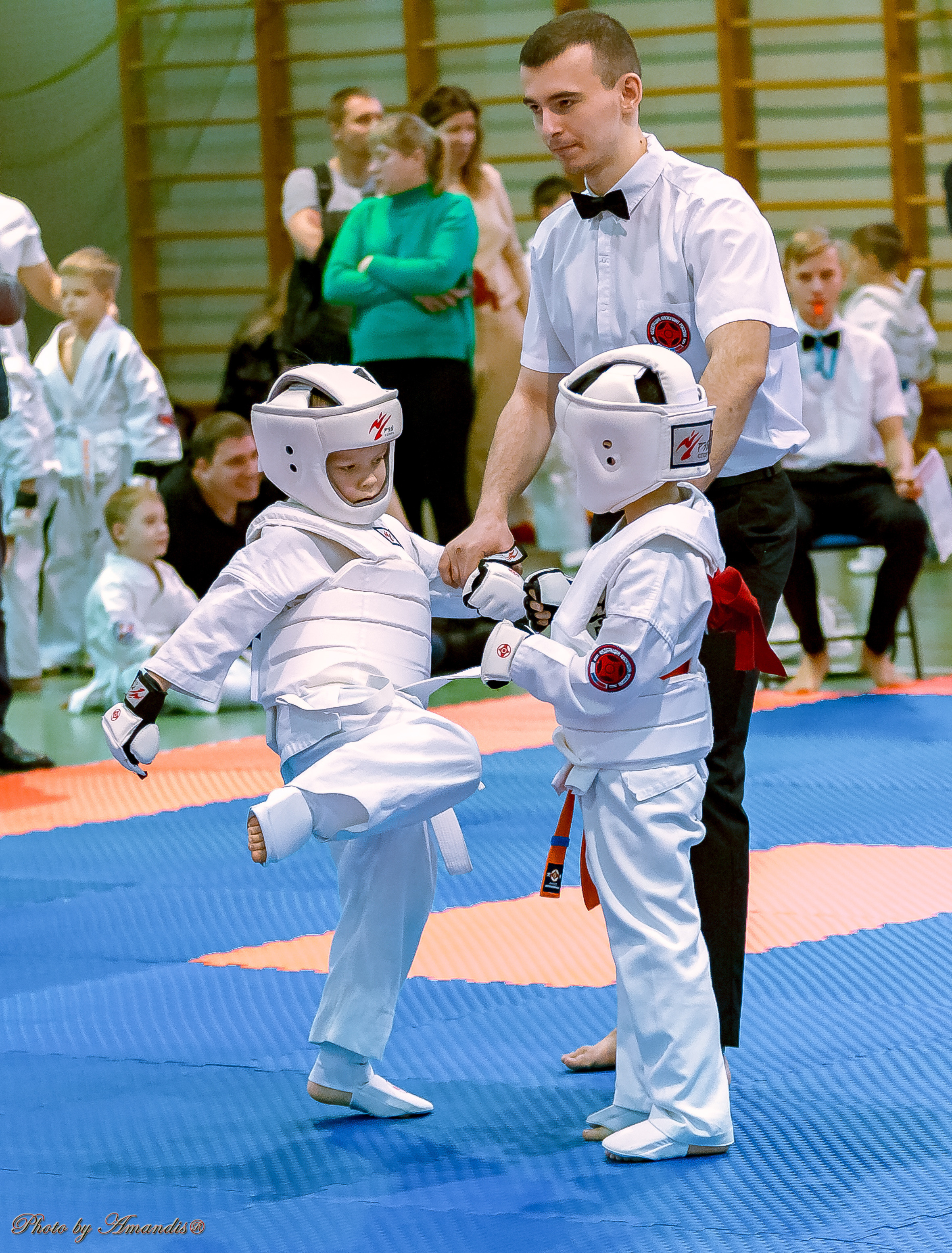 Кубок Seiken. Репортажная съемка в Москве и области. Анималистика