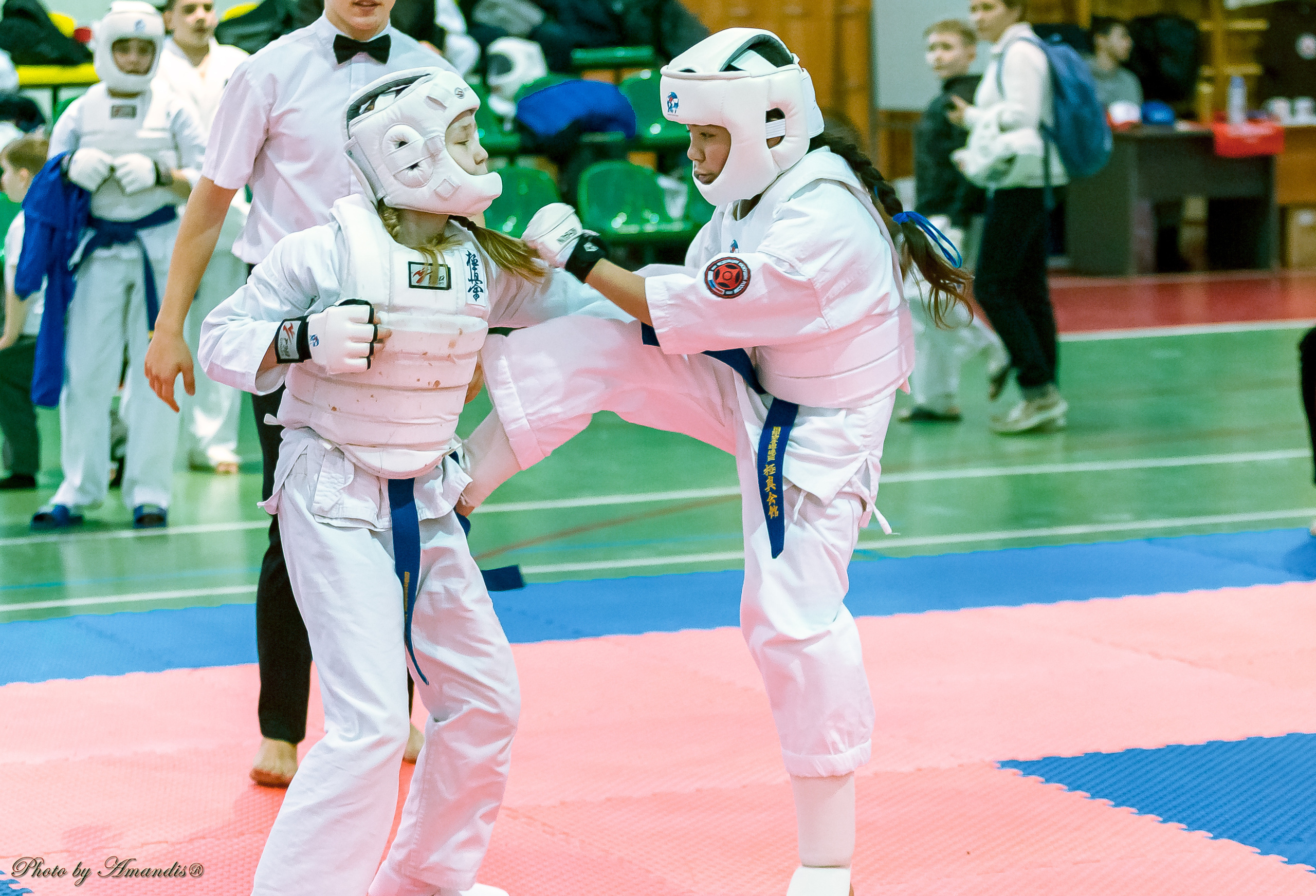 Кубок Seiken. Репортажная съемка в Москве и области. Анималистика