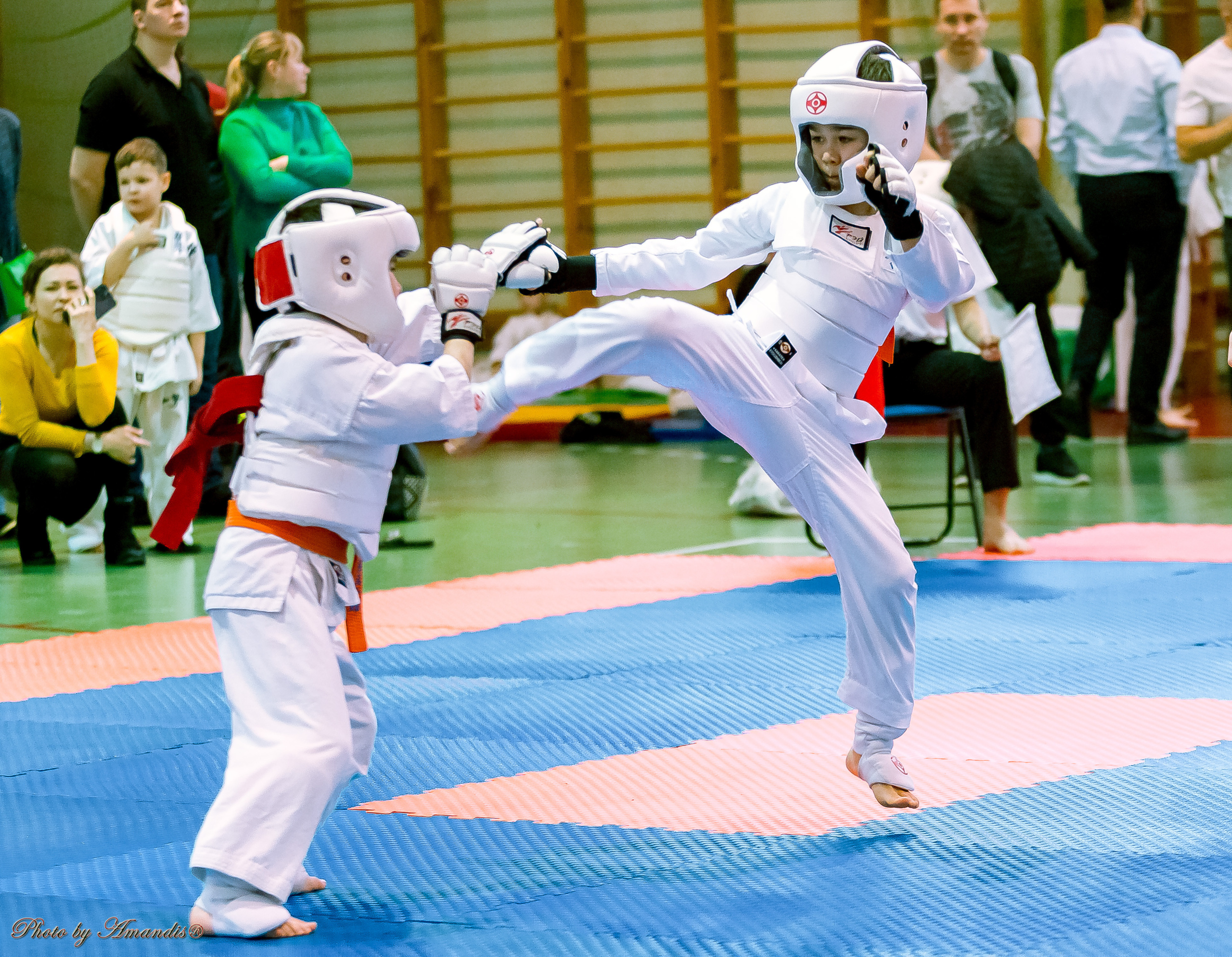 Кубок Seiken. Репортажная съемка в Москве и области. Анималистика