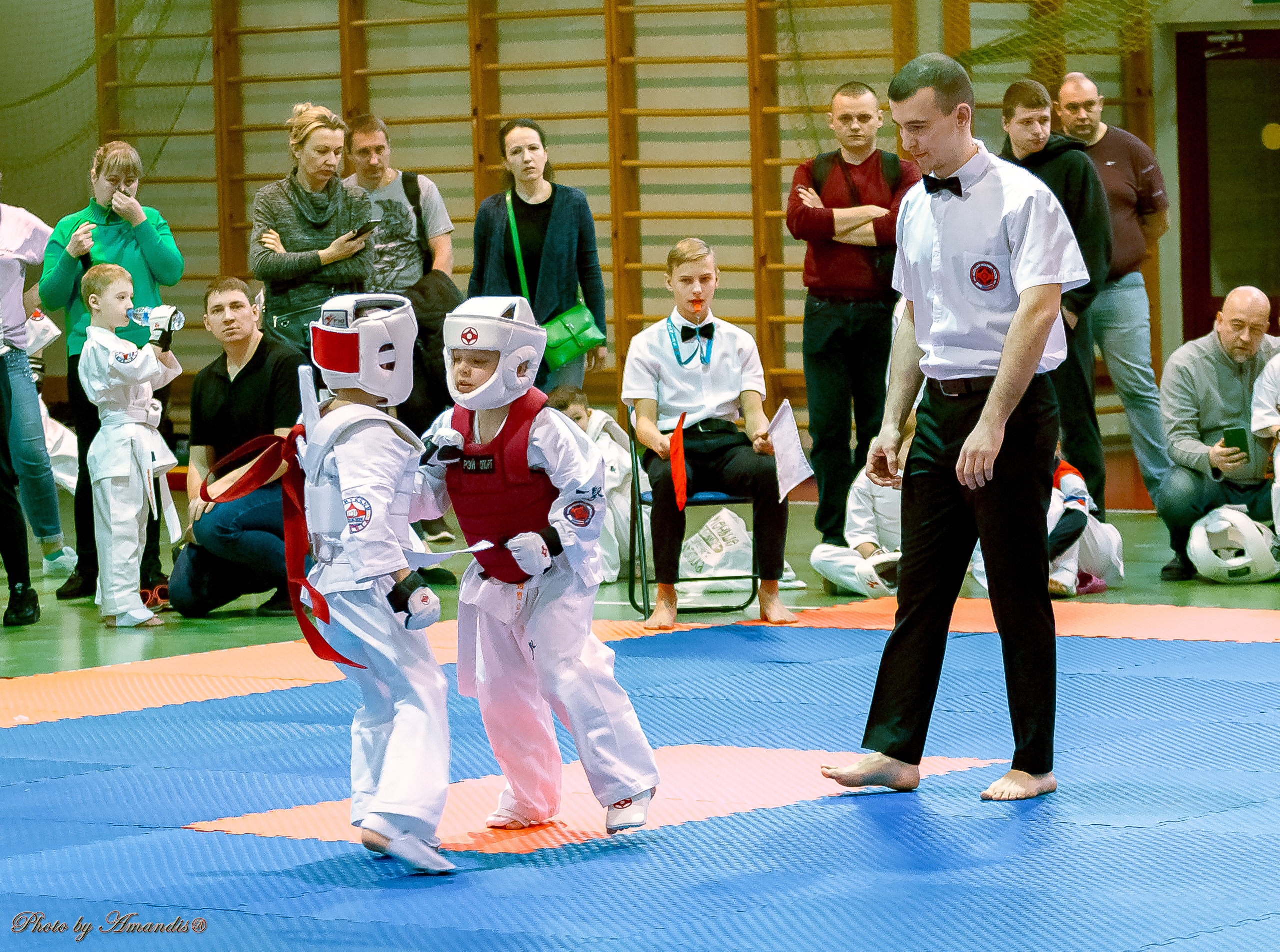 Кубок Seiken. Репортажная съемка в Москве и области. Анималистика