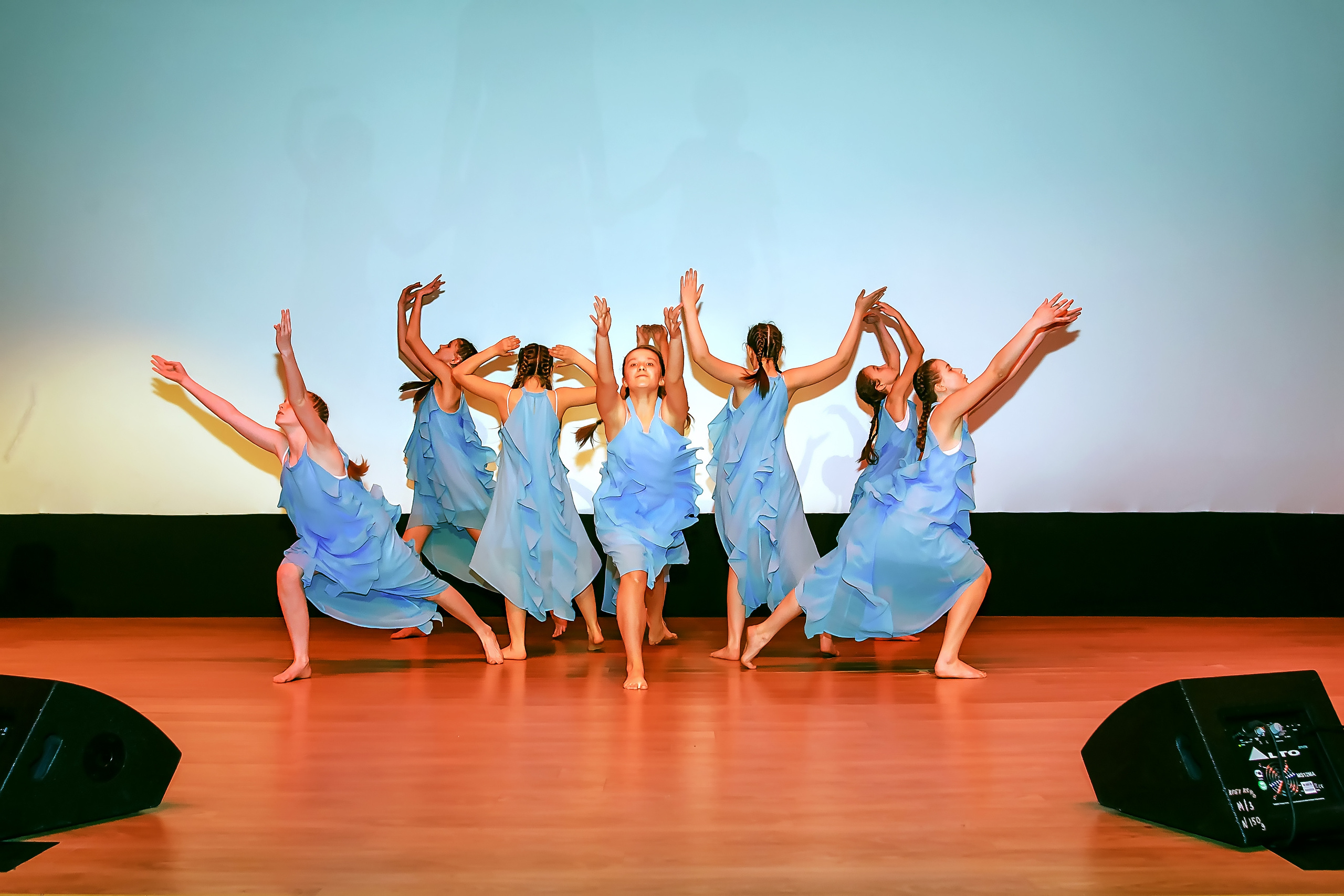 Отчетный концерт молодых творческих коллективов. Репортажная съемка в Москве и области. Анималистика