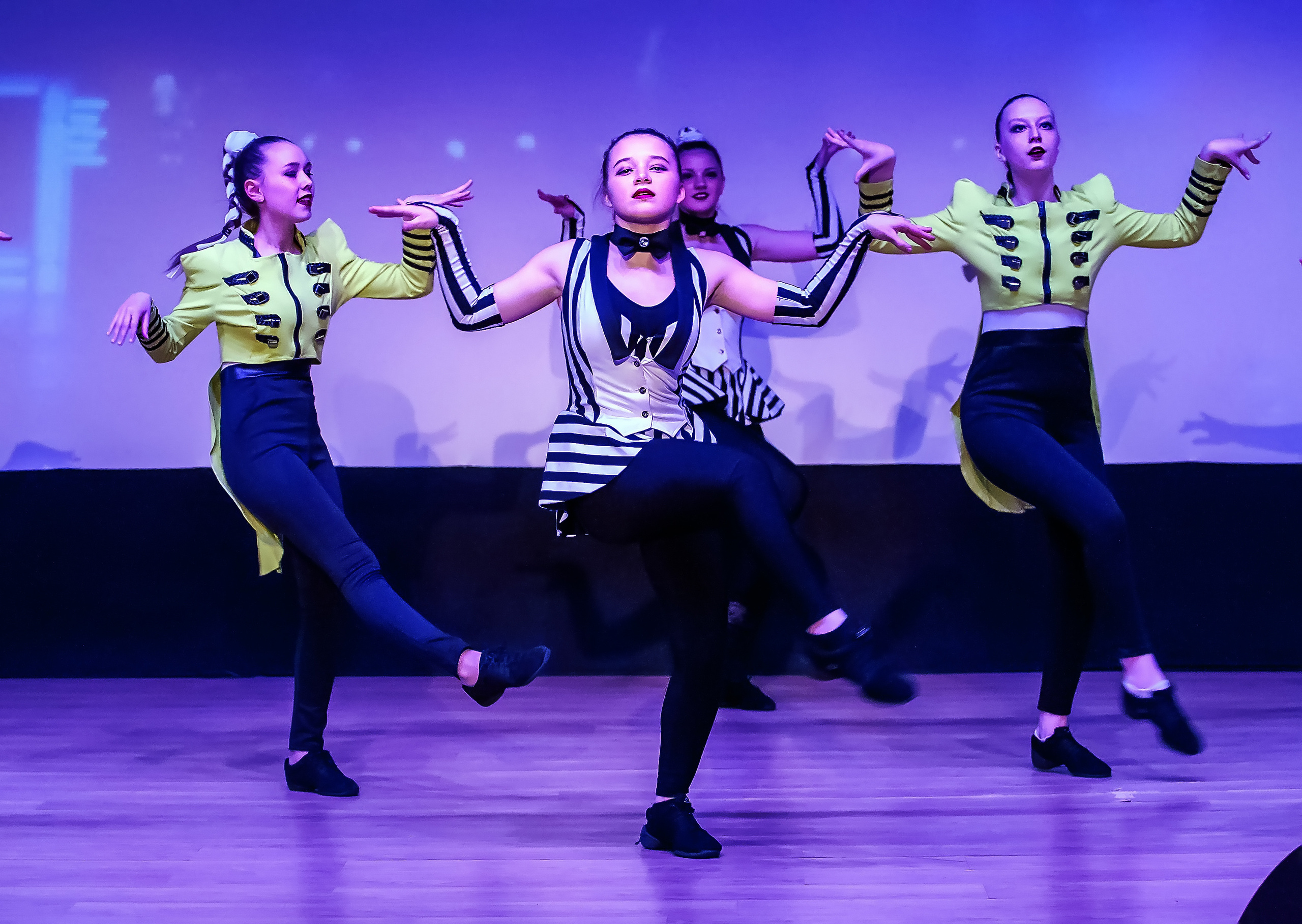 Отчетный концерт молодых творческих коллективов. Репортажная съемка в Москве и области. Анималистика