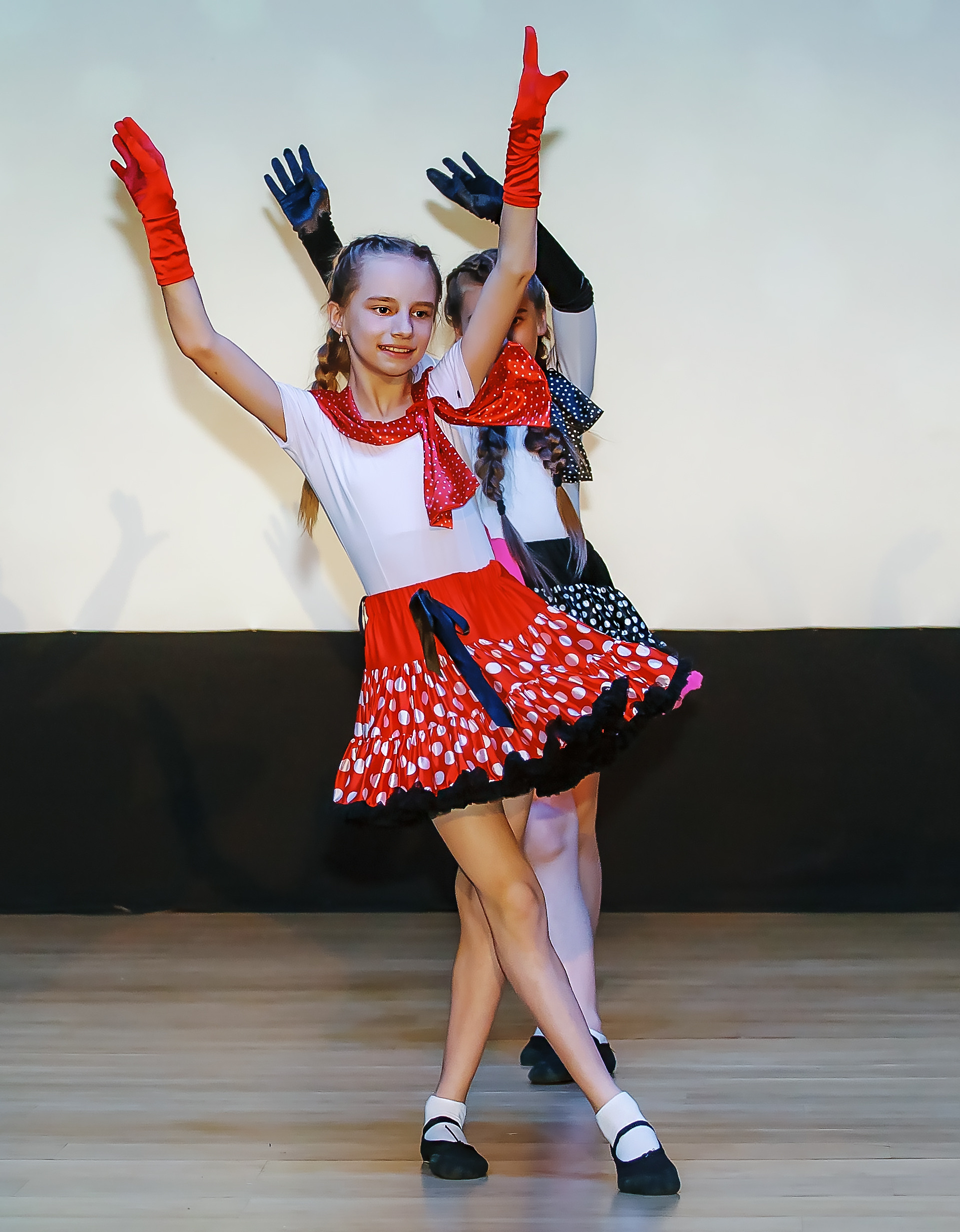 Отчетный концерт молодых творческих коллективов. Репортажная съемка в Москве и области. Анималистика