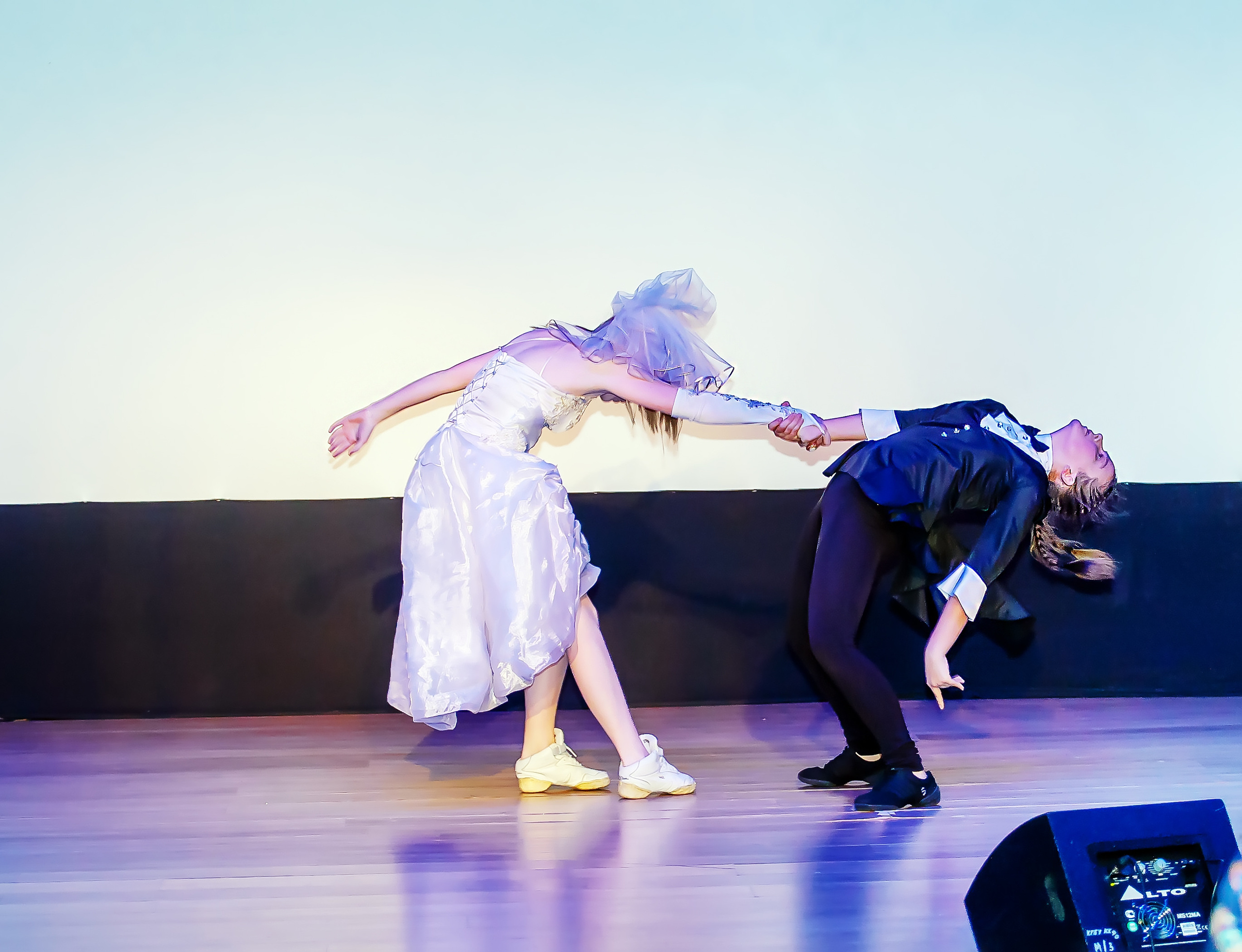 Отчетный концерт молодых творческих коллективов. Репортажная съемка в Москве и области. Анималистика