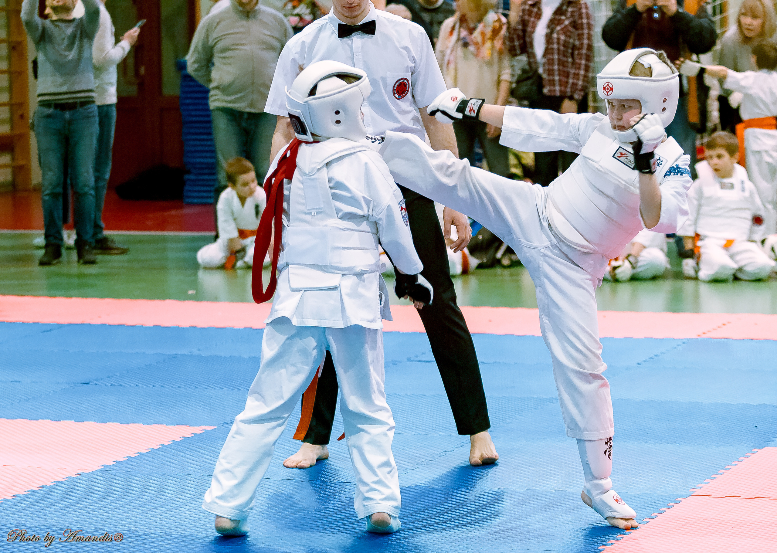 Кубок Seiken. Репортажная съемка в Москве и области. Анималистика