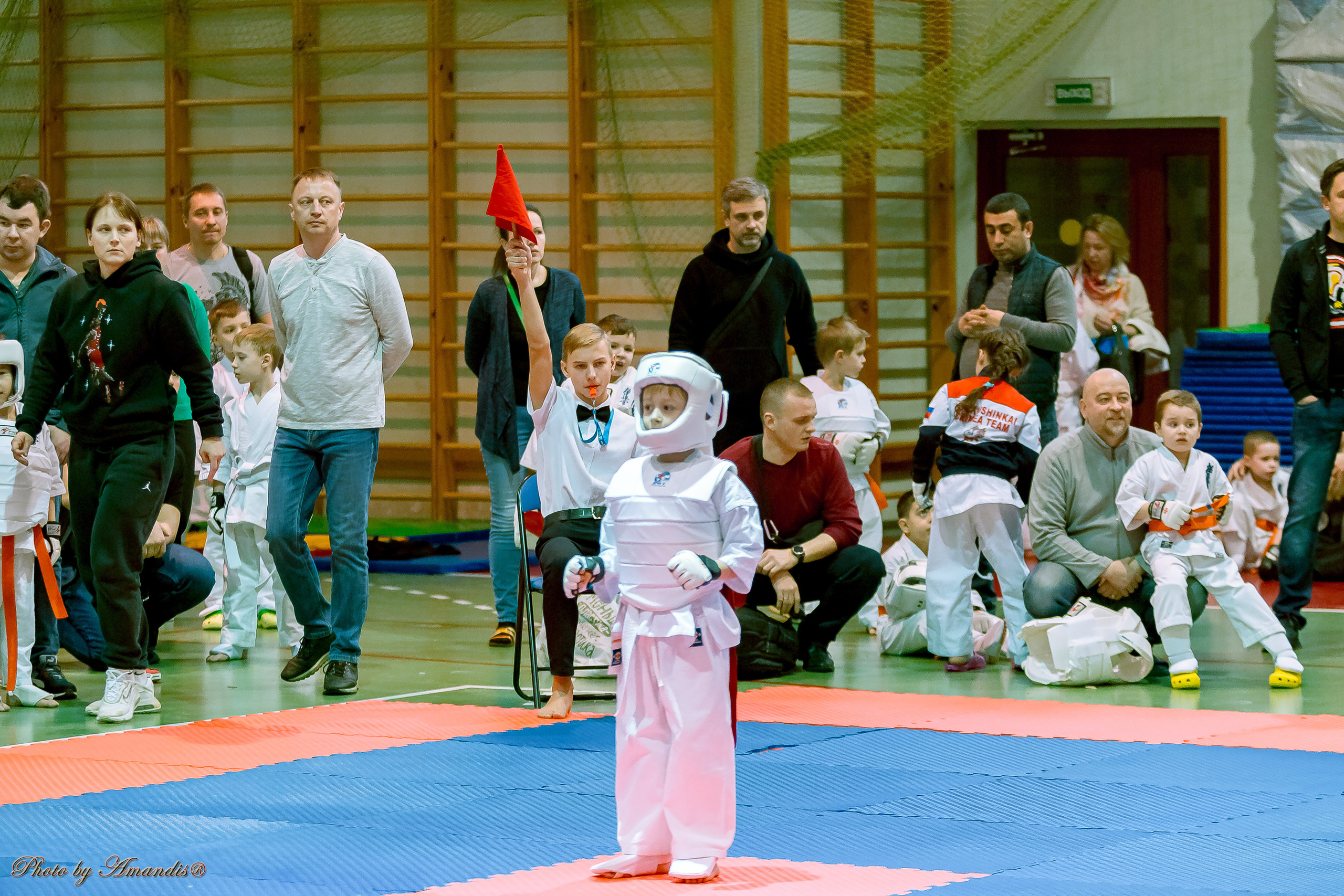 Кубок Seiken. Репортажная съемка в Москве и области. Анималистика