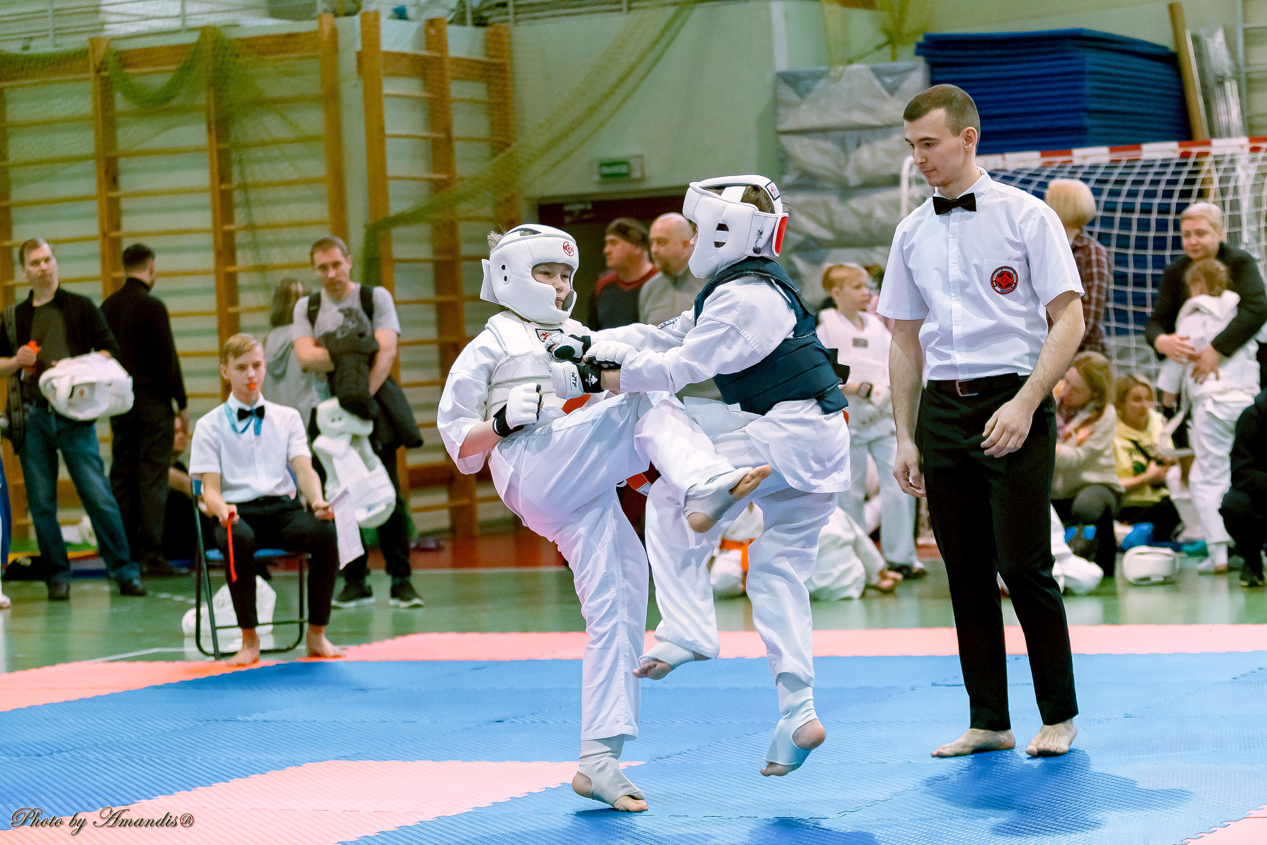 Кубок Seiken. Репортажная съемка в Москве и области. Анималистика