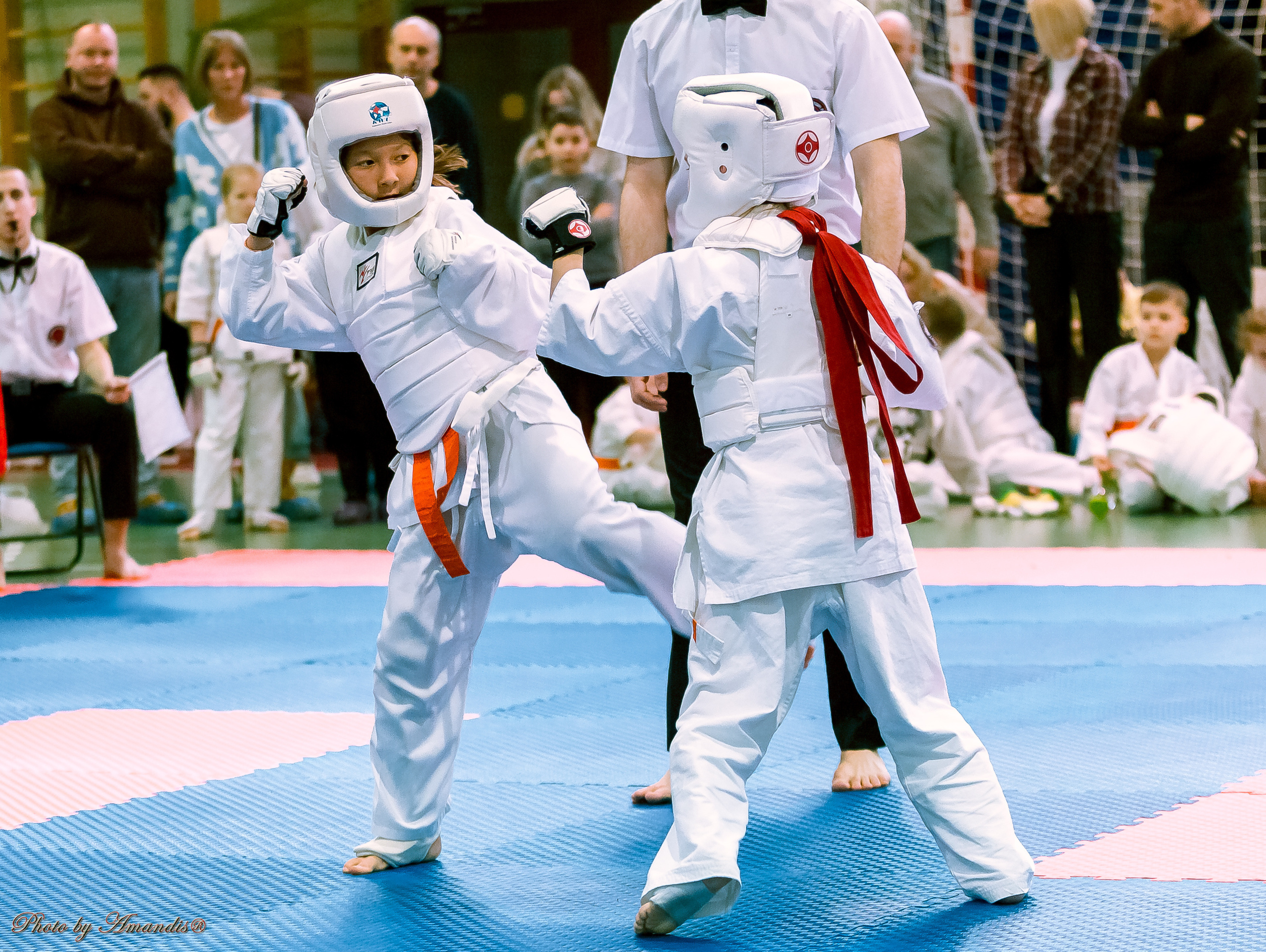 Кубок Seiken. Репортажная съемка в Москве и области. Анималистика