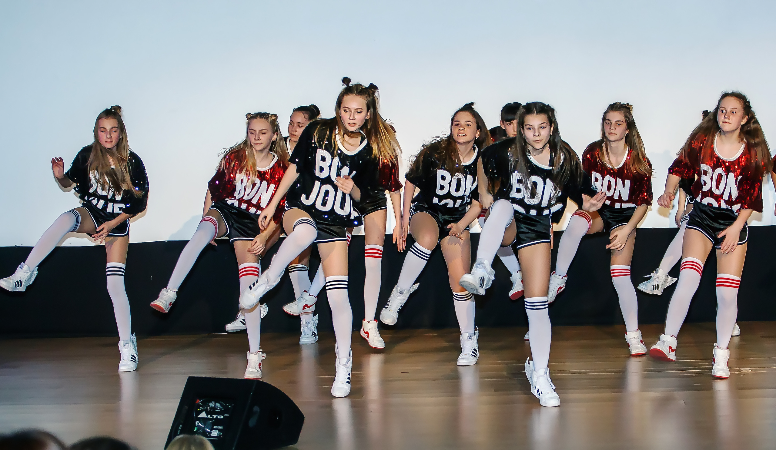 Отчетный концерт молодых творческих коллективов. Репортажная съемка в Москве и области. Анималистика