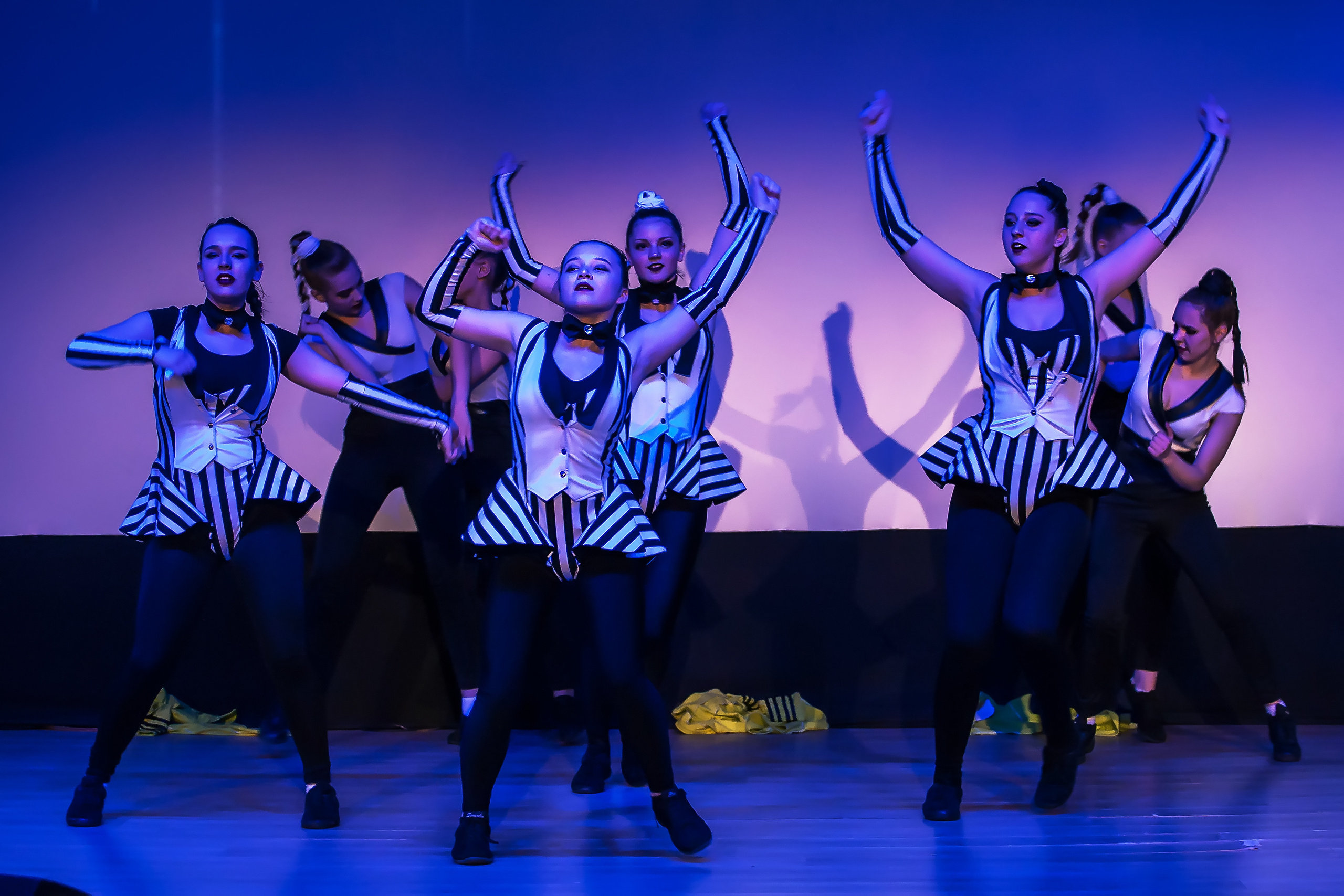 Отчетный концерт молодых творческих коллективов. Репортажная съемка в Москве и области. Анималистика