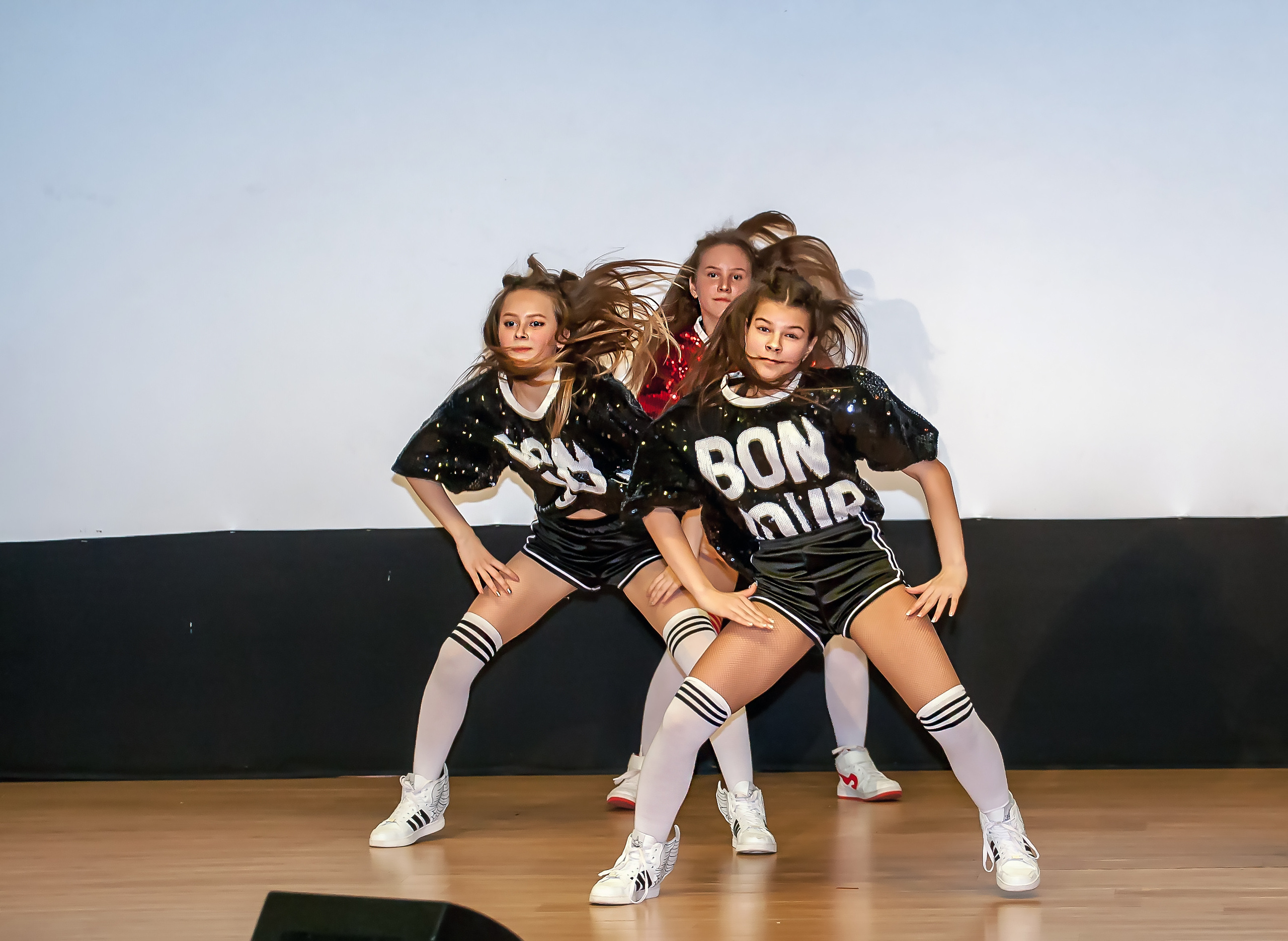 Отчетный концерт молодых творческих коллективов. Репортажная съемка в Москве и области. Анималистика