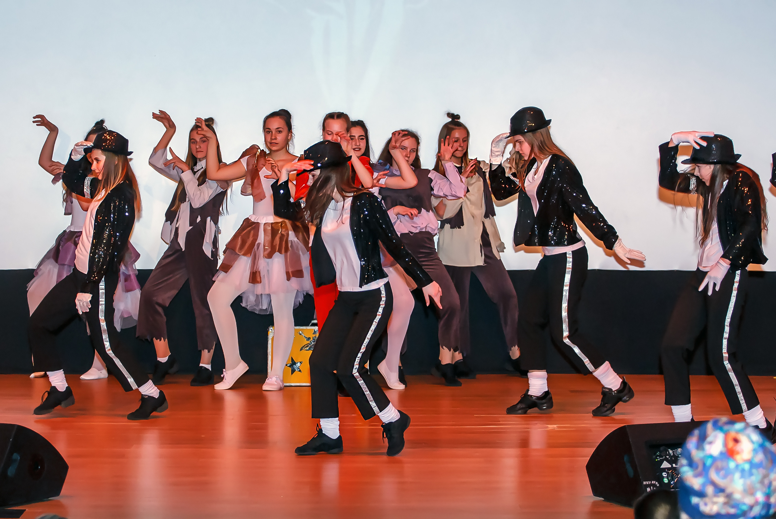 Отчетный концерт молодых творческих коллективов. Репортажная съемка в Москве и области. Анималистика