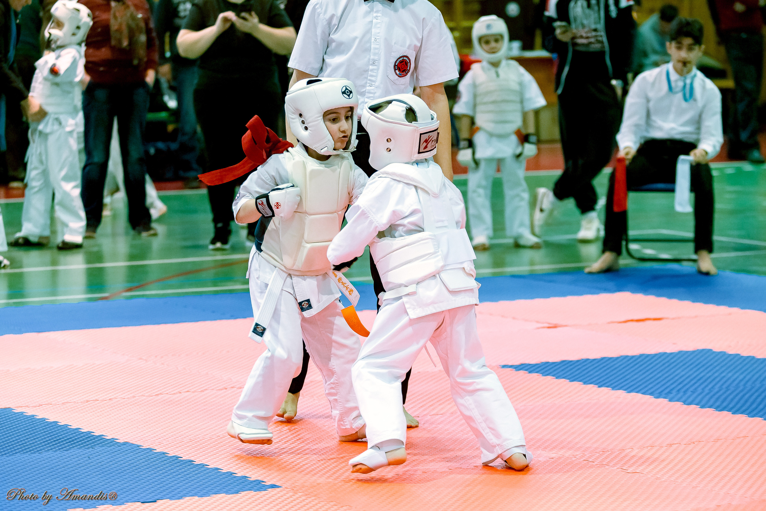 Кубок Seiken. Репортажная съемка в Москве и области. Анималистика