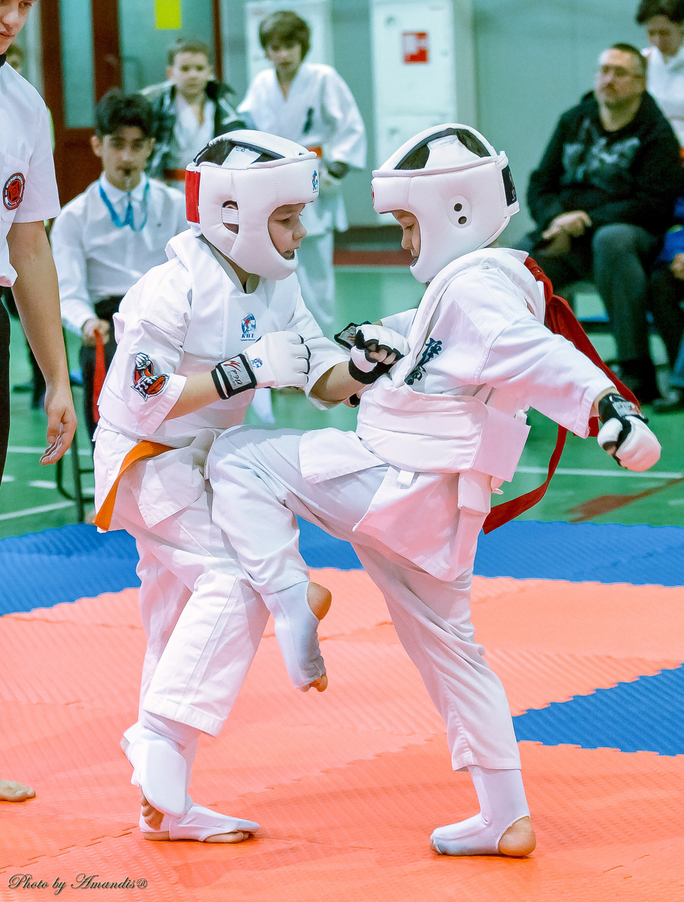 Кубок Seiken. Репортажная съемка в Москве и области. Анималистика