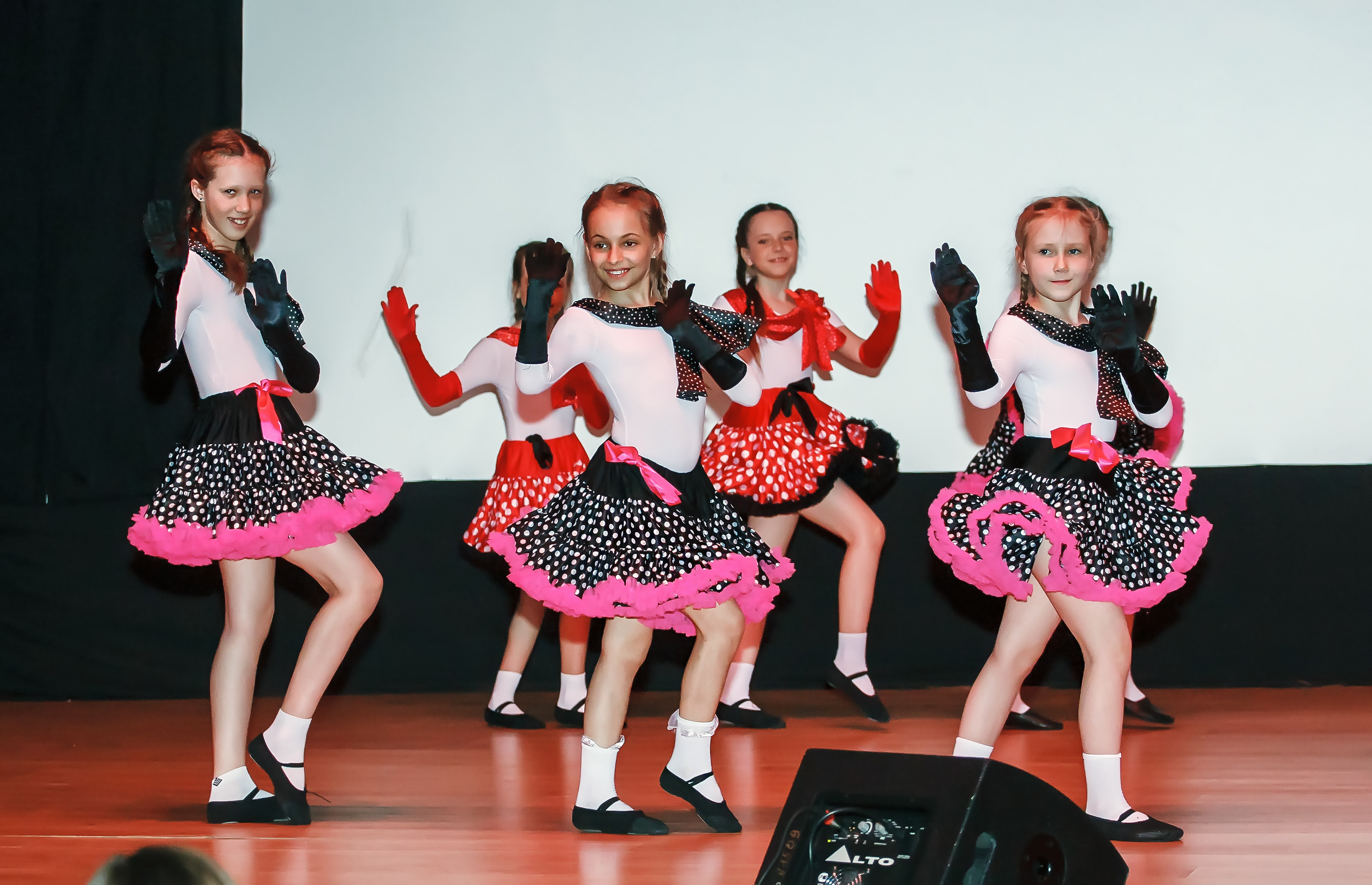 Отчетный концерт молодых творческих коллективов. Репортажная съемка в Москве и области. Анималистика