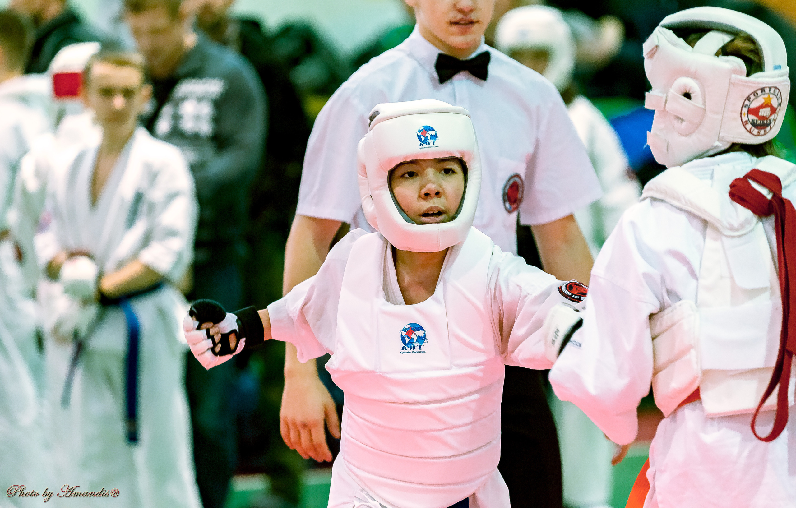 Кубок Seiken. Репортажная съемка в Москве и области. Анималистика