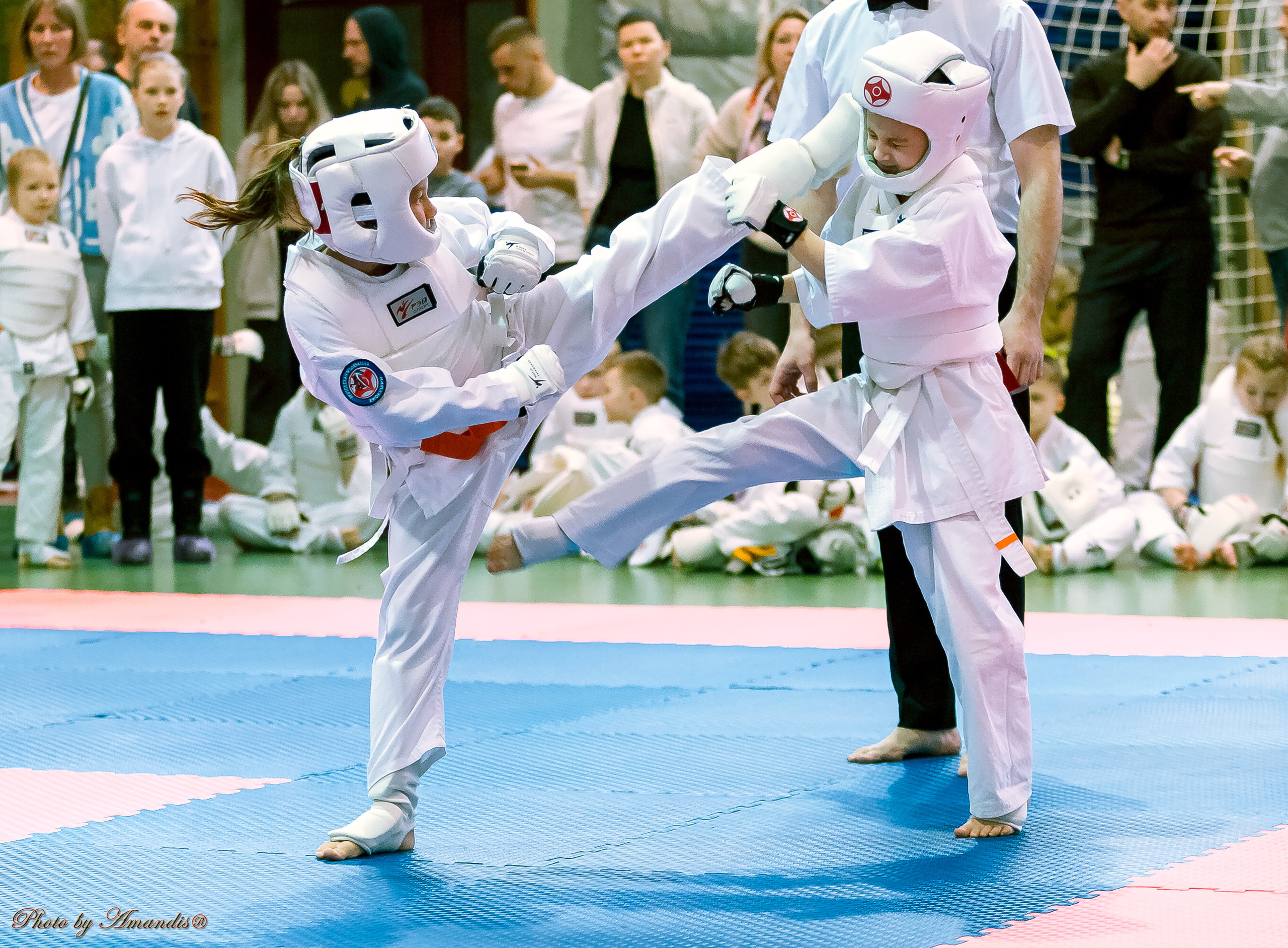 Кубок Seiken. Репортажная съемка в Москве и области. Анималистика