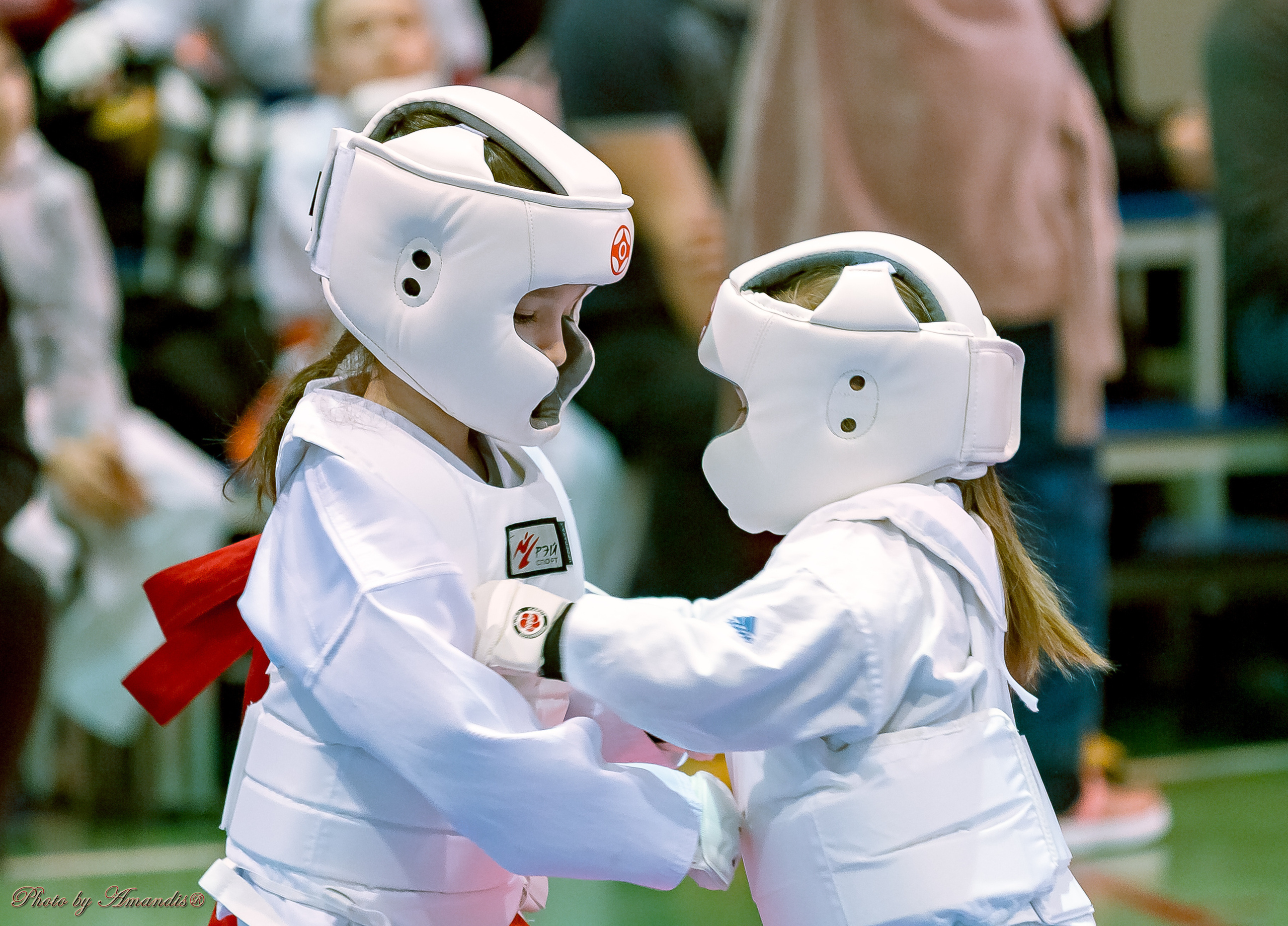 Кубок Seiken. Репортажная съемка в Москве и области. Анималистика