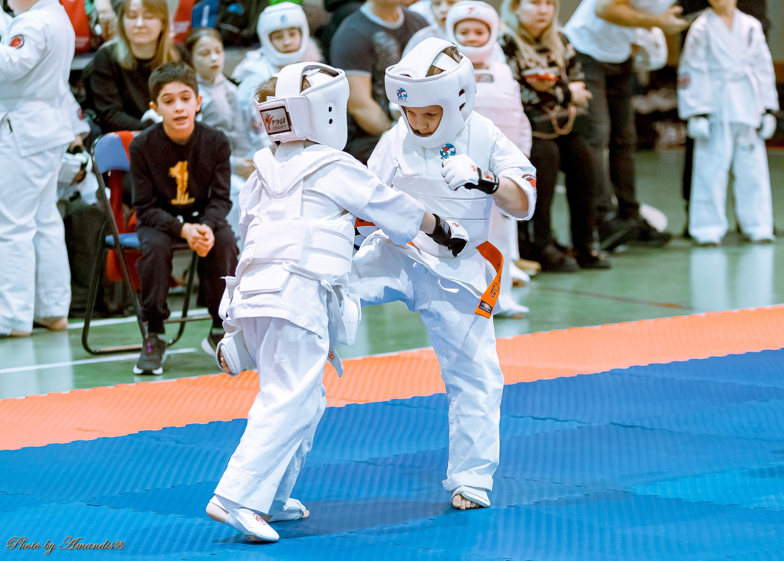 Кубок Seiken. Репортажная съемка в Москве и области. Анималистика