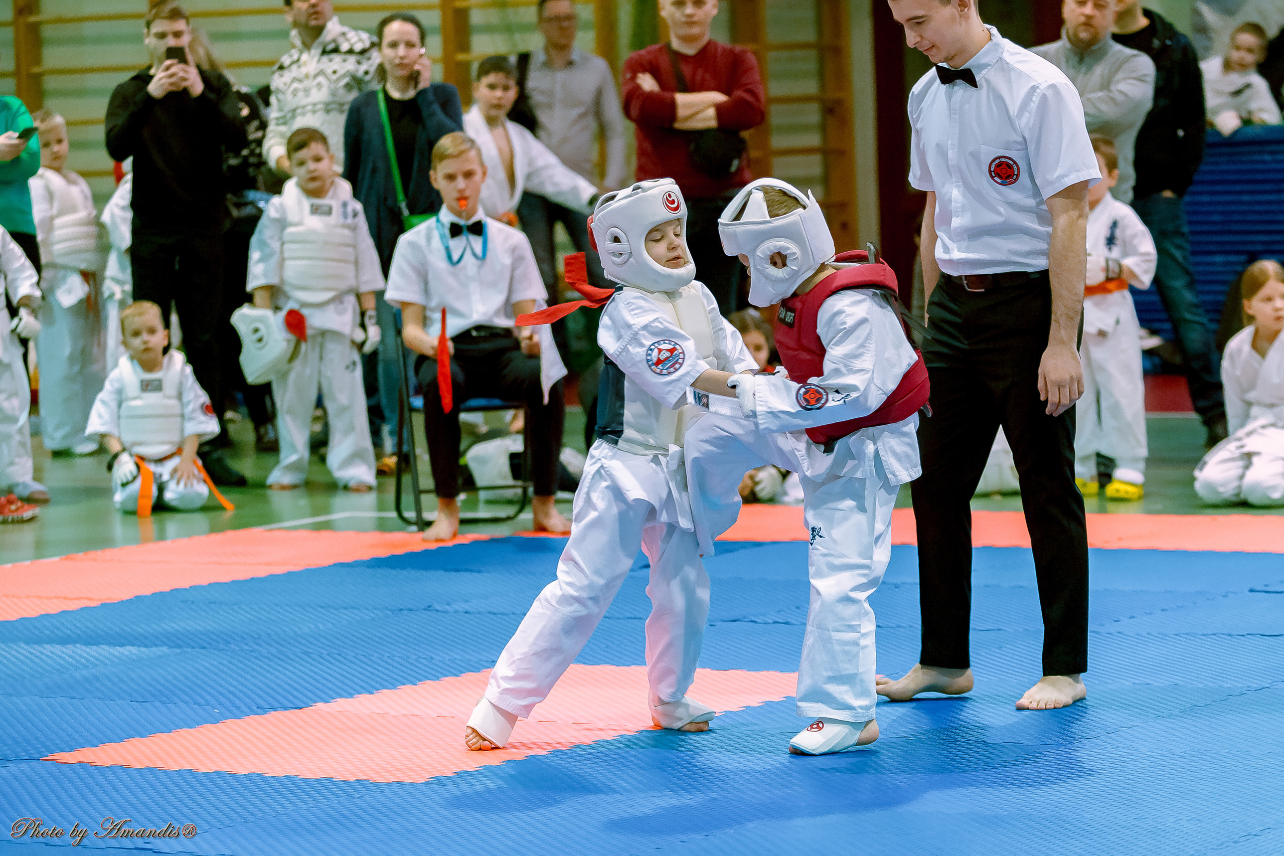 Кубок Seiken. Репортажная съемка в Москве и области. Анималистика