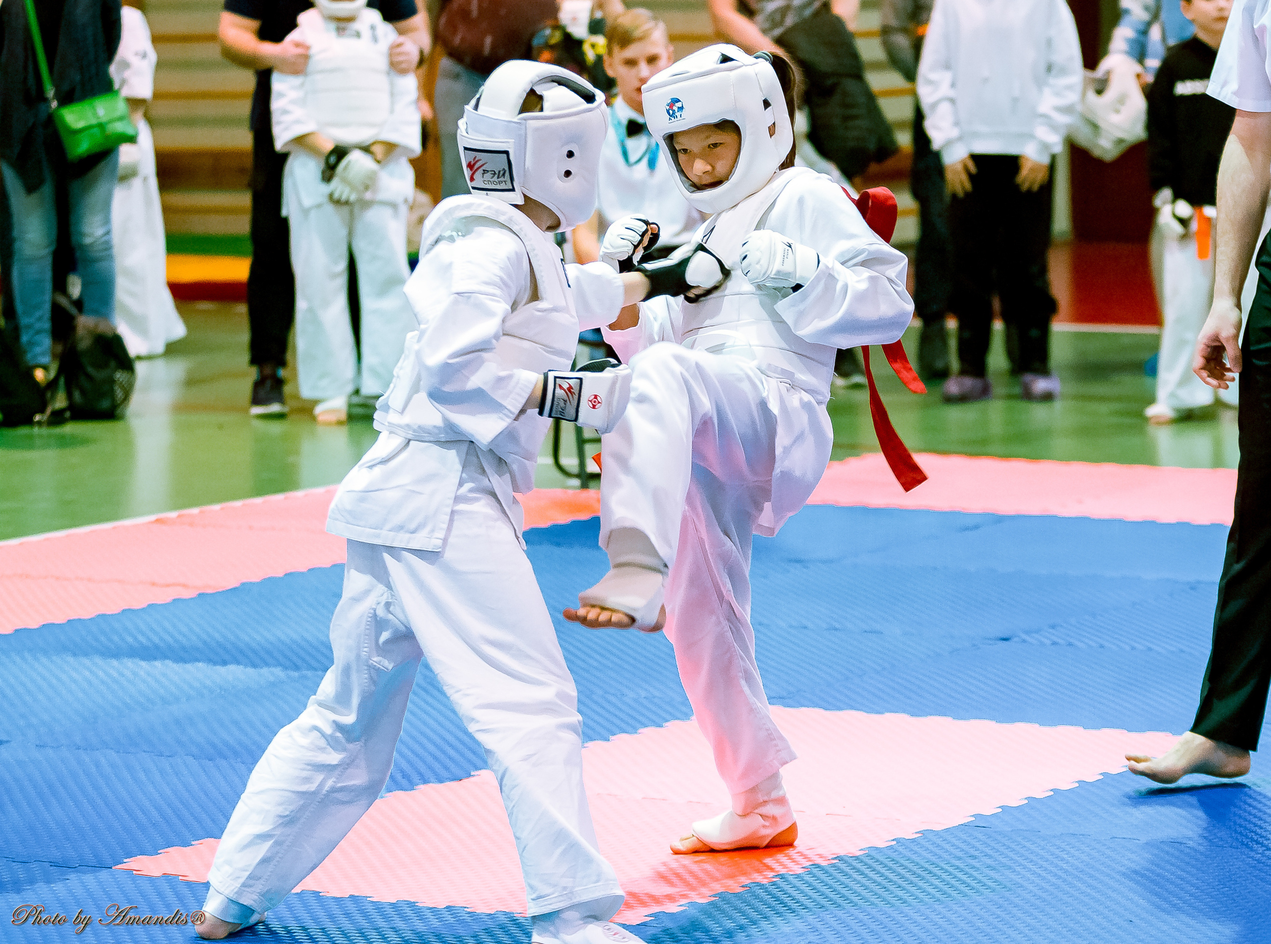 Кубок Seiken. Репортажная съемка в Москве и области. Анималистика