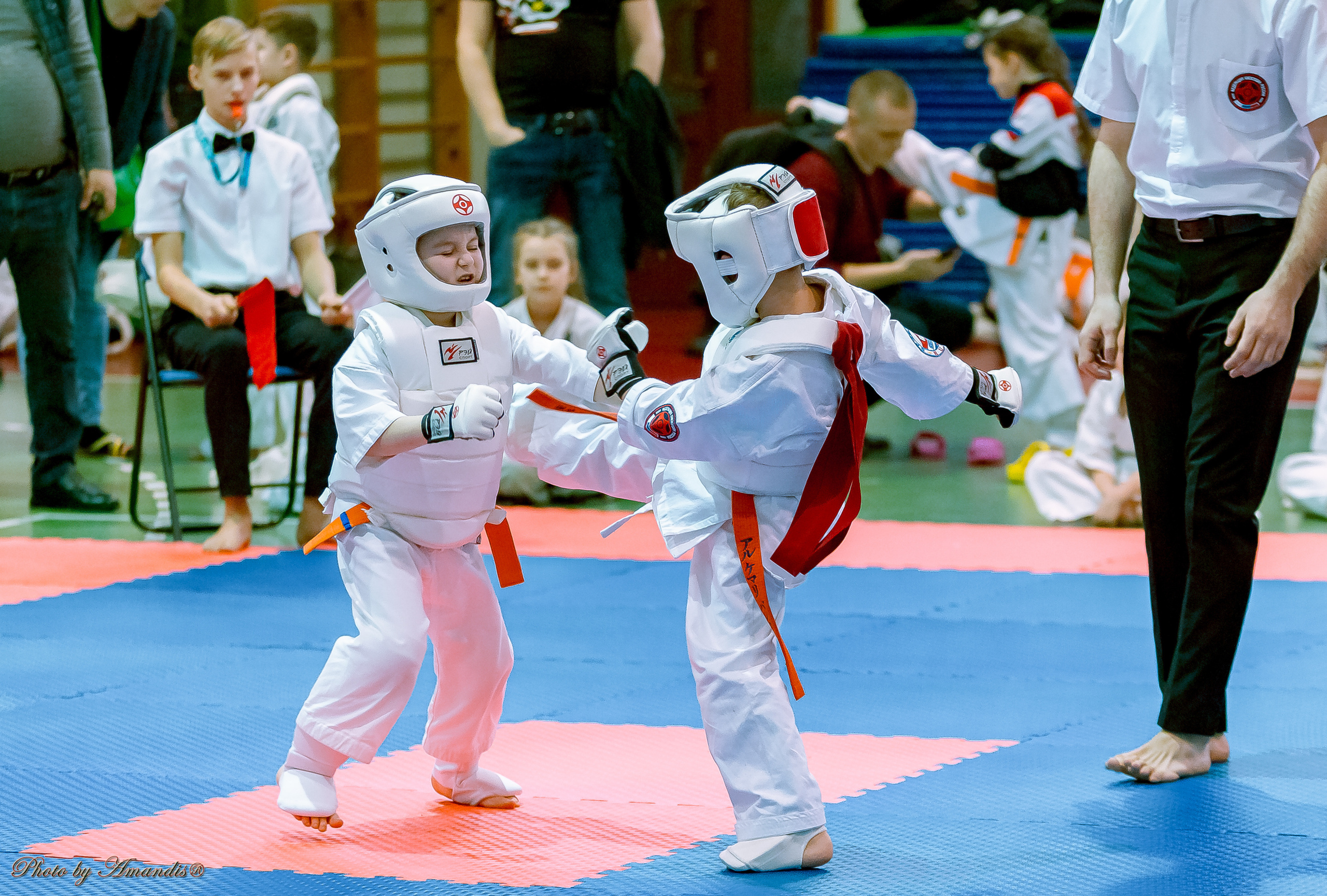 Кубок Seiken. Репортажная съемка в Москве и области. Анималистика