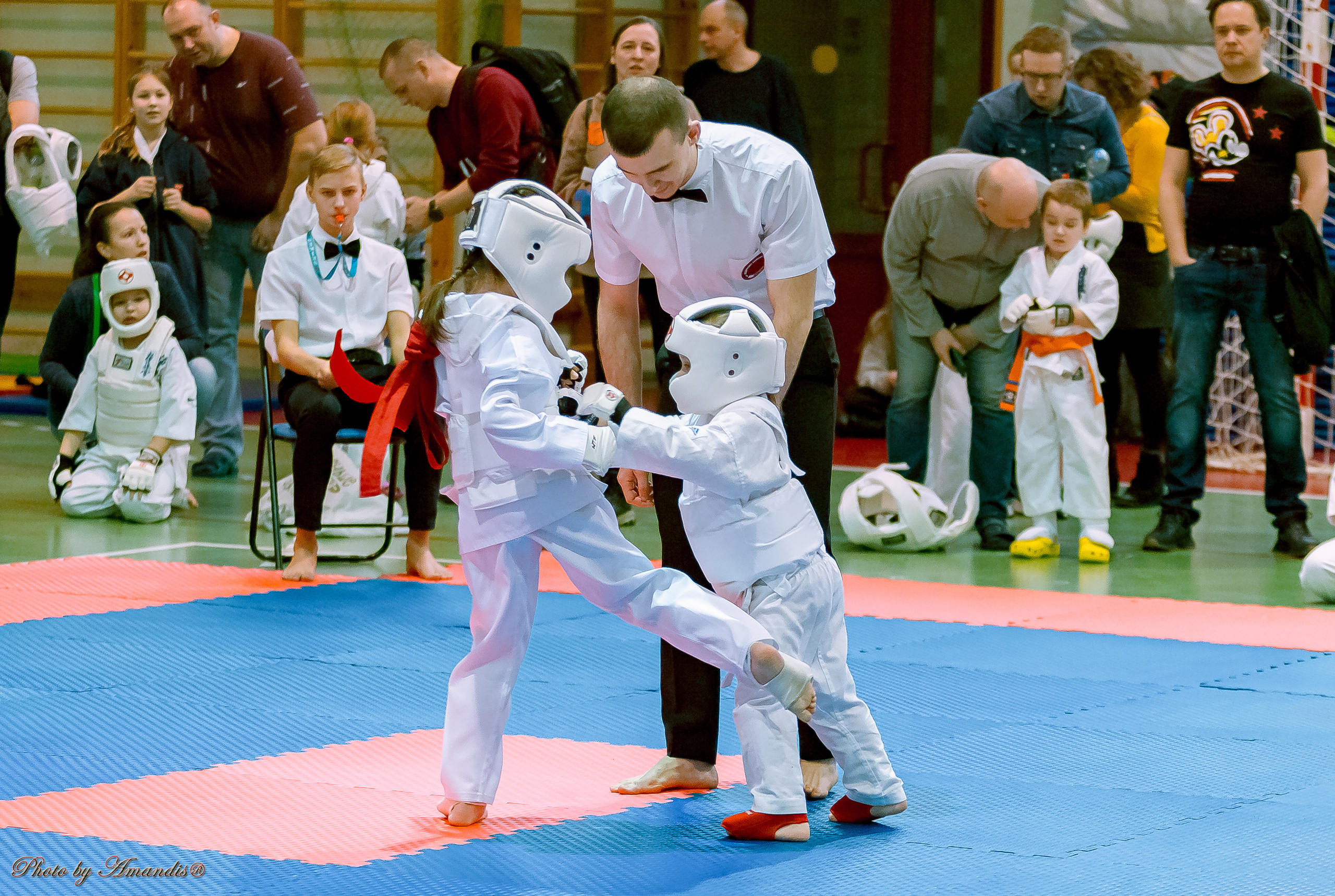 Кубок Seiken. Репортажная съемка в Москве и области. Анималистика