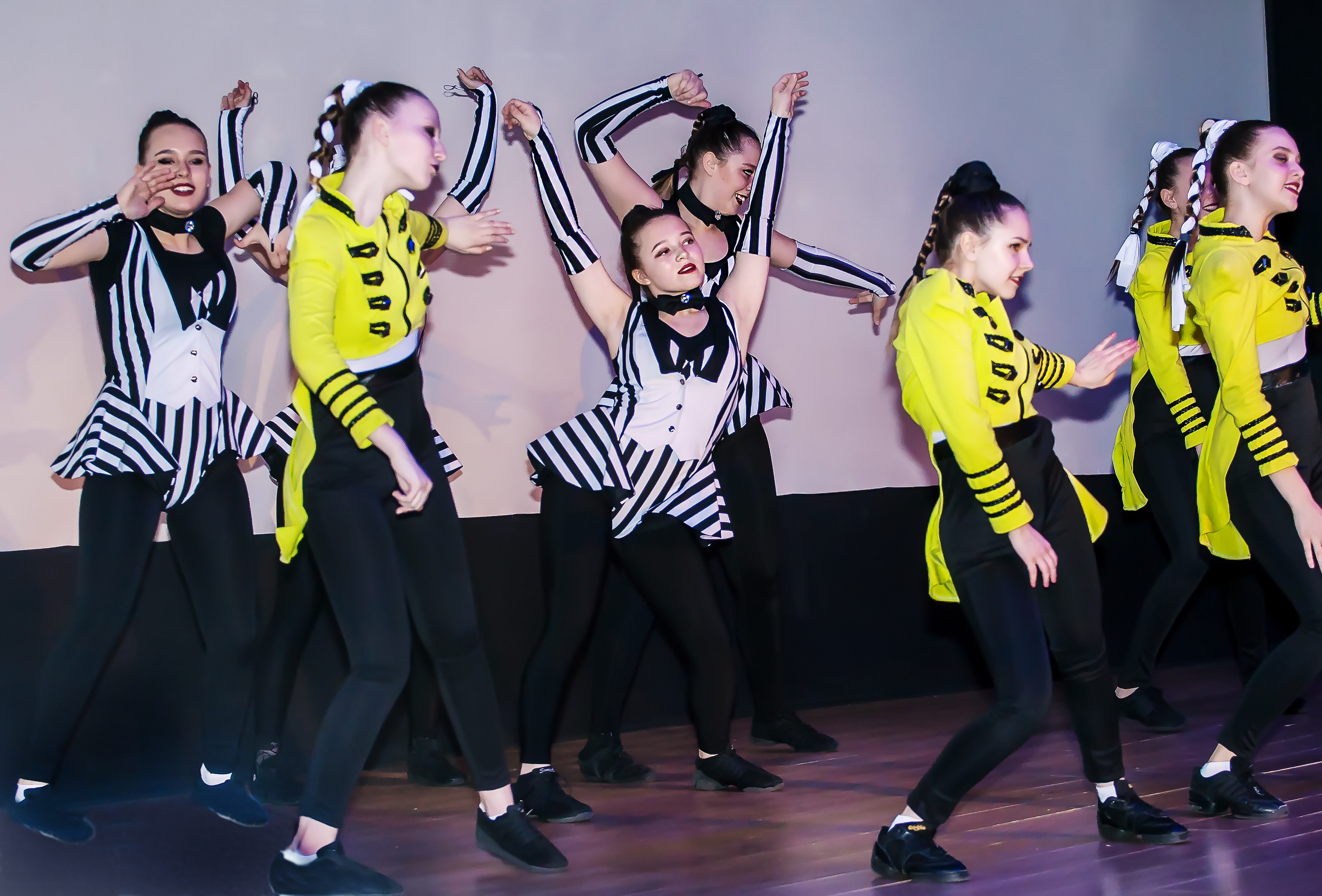 Отчетный концерт молодых творческих коллективов. Репортажная съемка в Москве и области. Анималистика