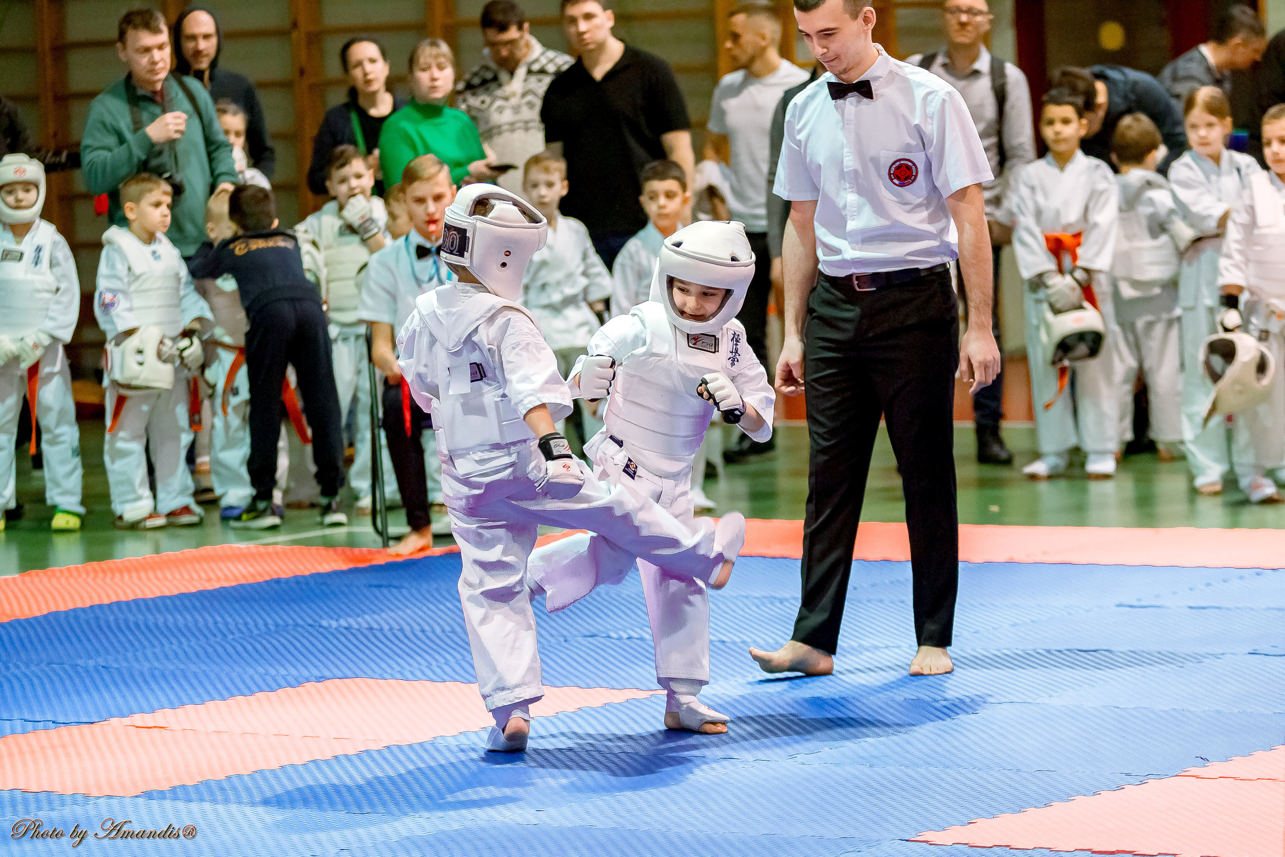 Кубок Seiken. Репортажная съемка в Москве и области. Анималистика