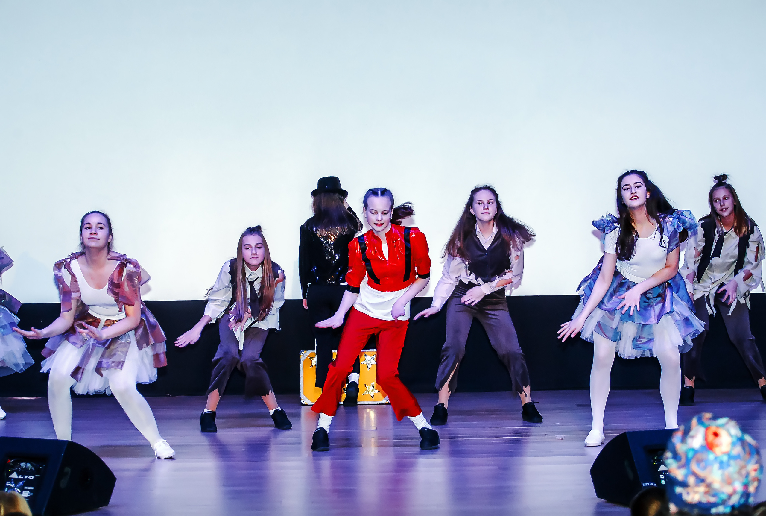 Отчетный концерт молодых творческих коллективов. Репортажная съемка в Москве и области. Анималистика