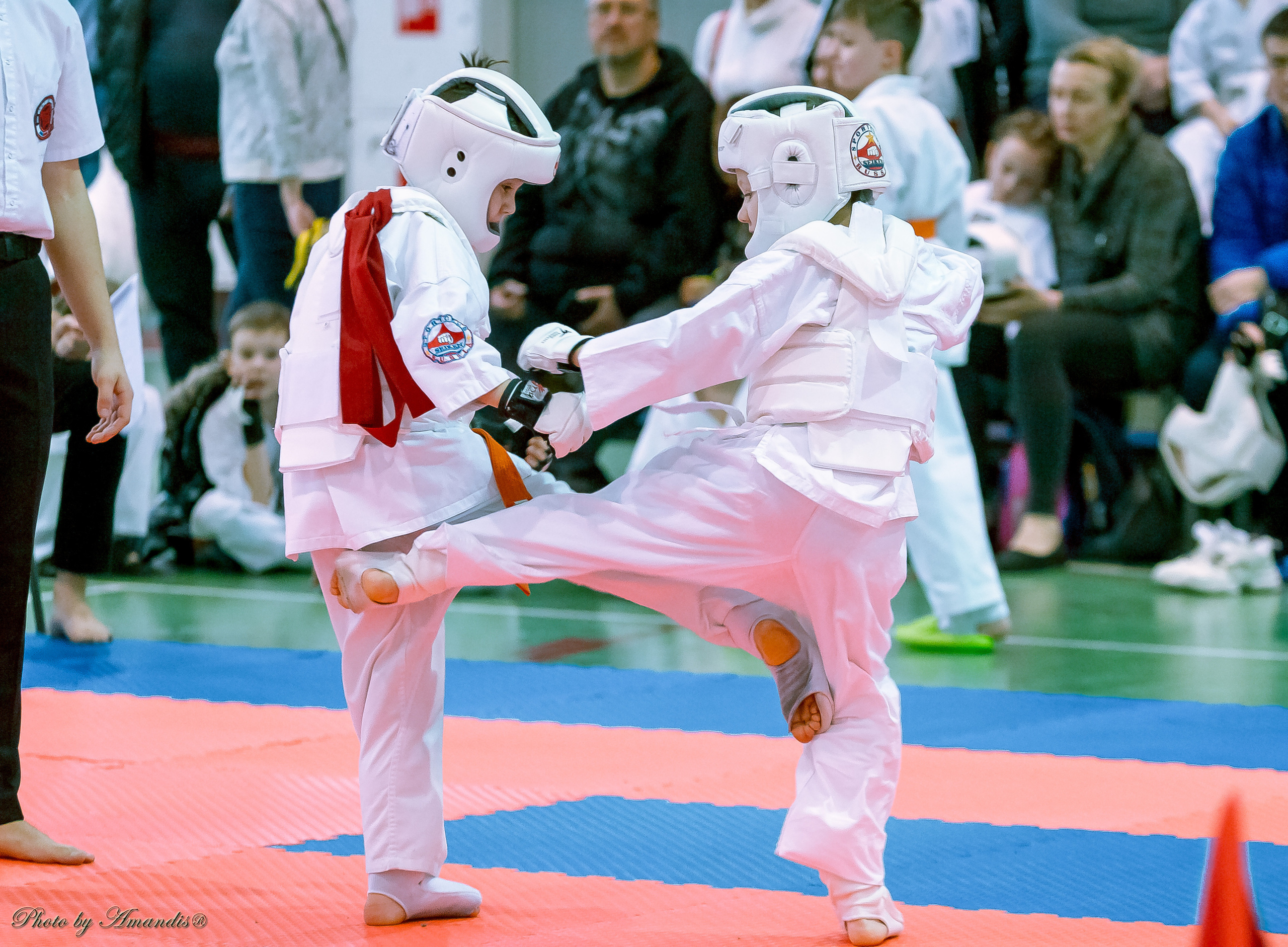 Кубок Seiken. Репортажная съемка в Москве и области. Анималистика