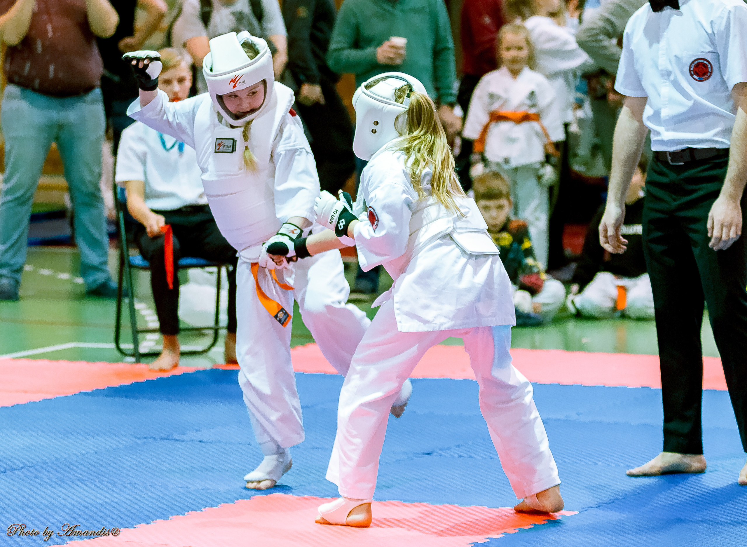 Кубок Seiken. Репортажная съемка в Москве и области. Анималистика