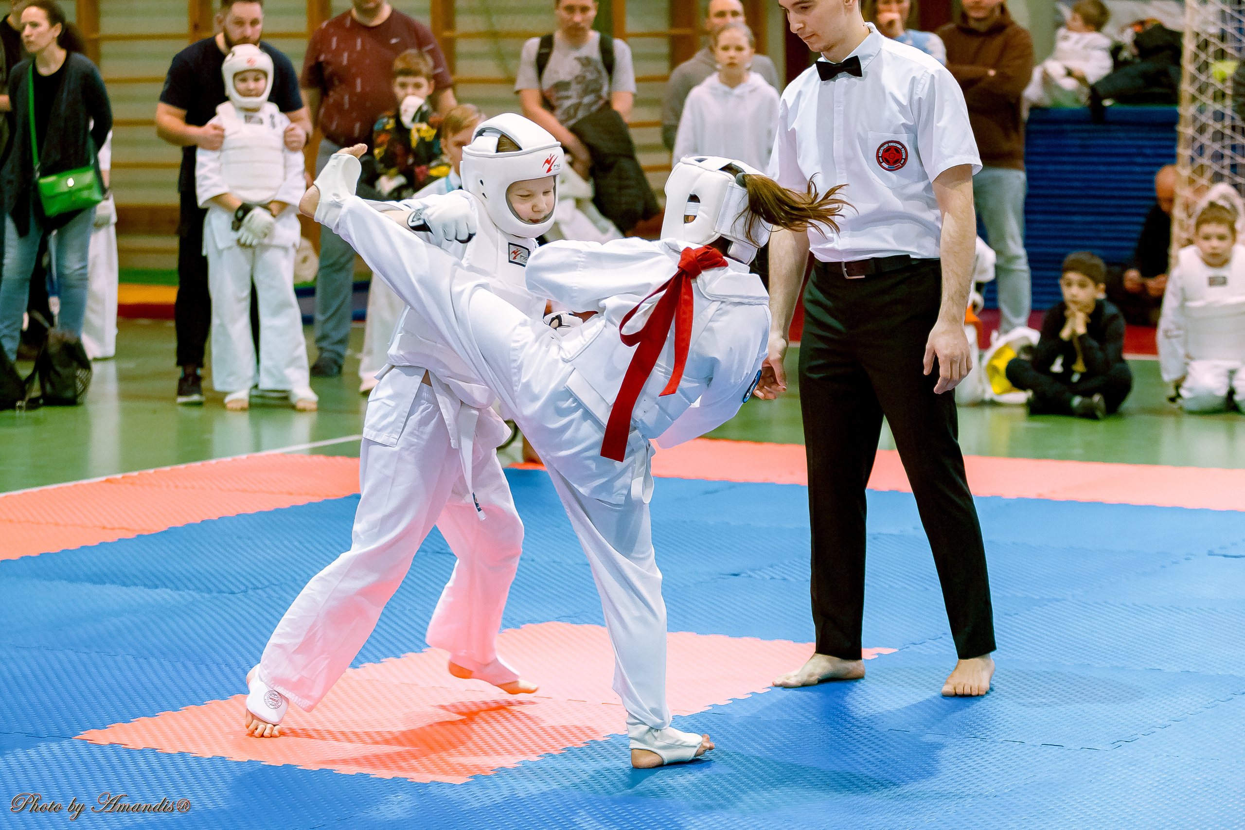 Кубок Seiken. Репортажная съемка в Москве и области. Анималистика