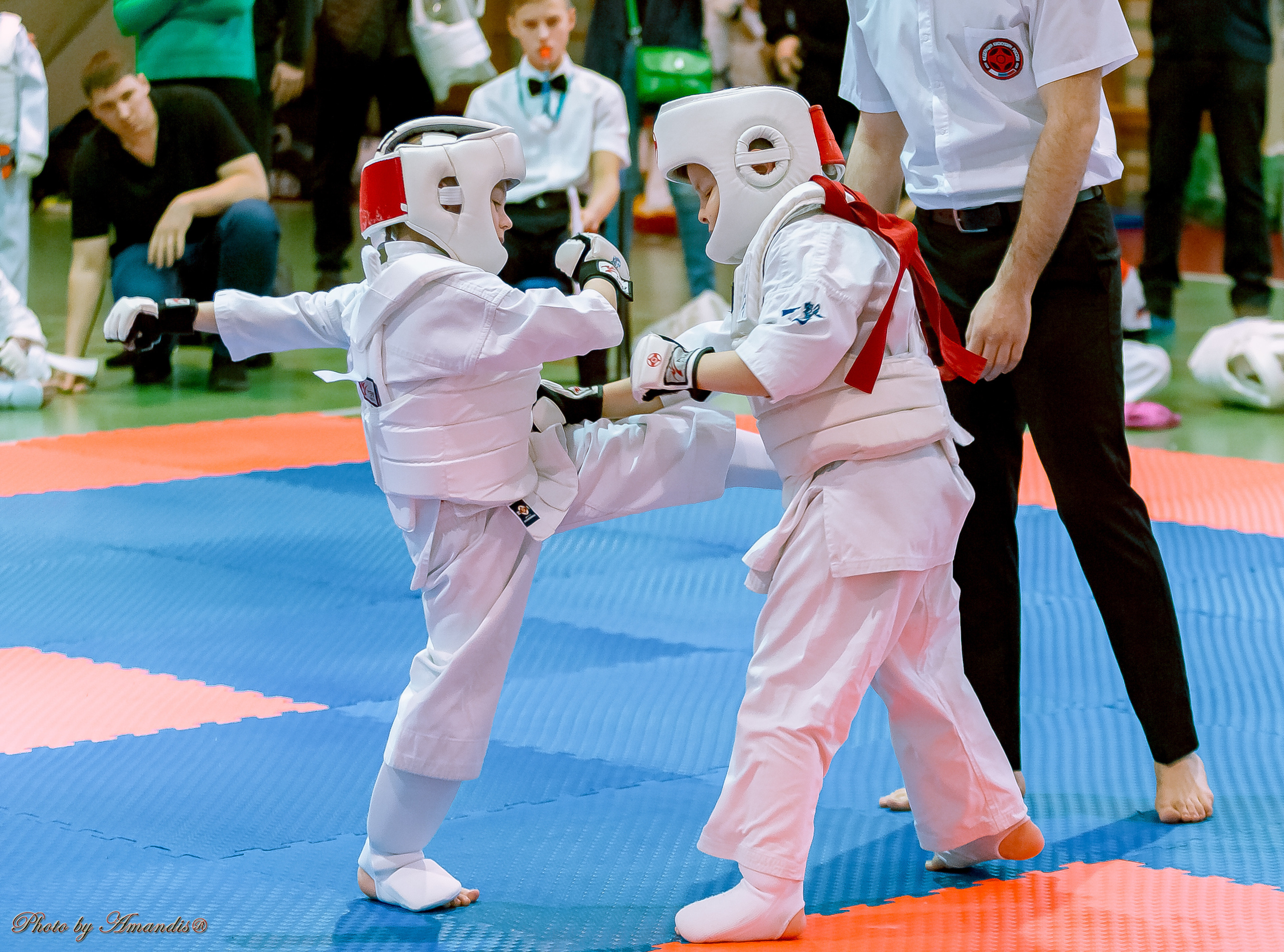 Кубок Seiken. Репортажная съемка в Москве и области. Анималистика