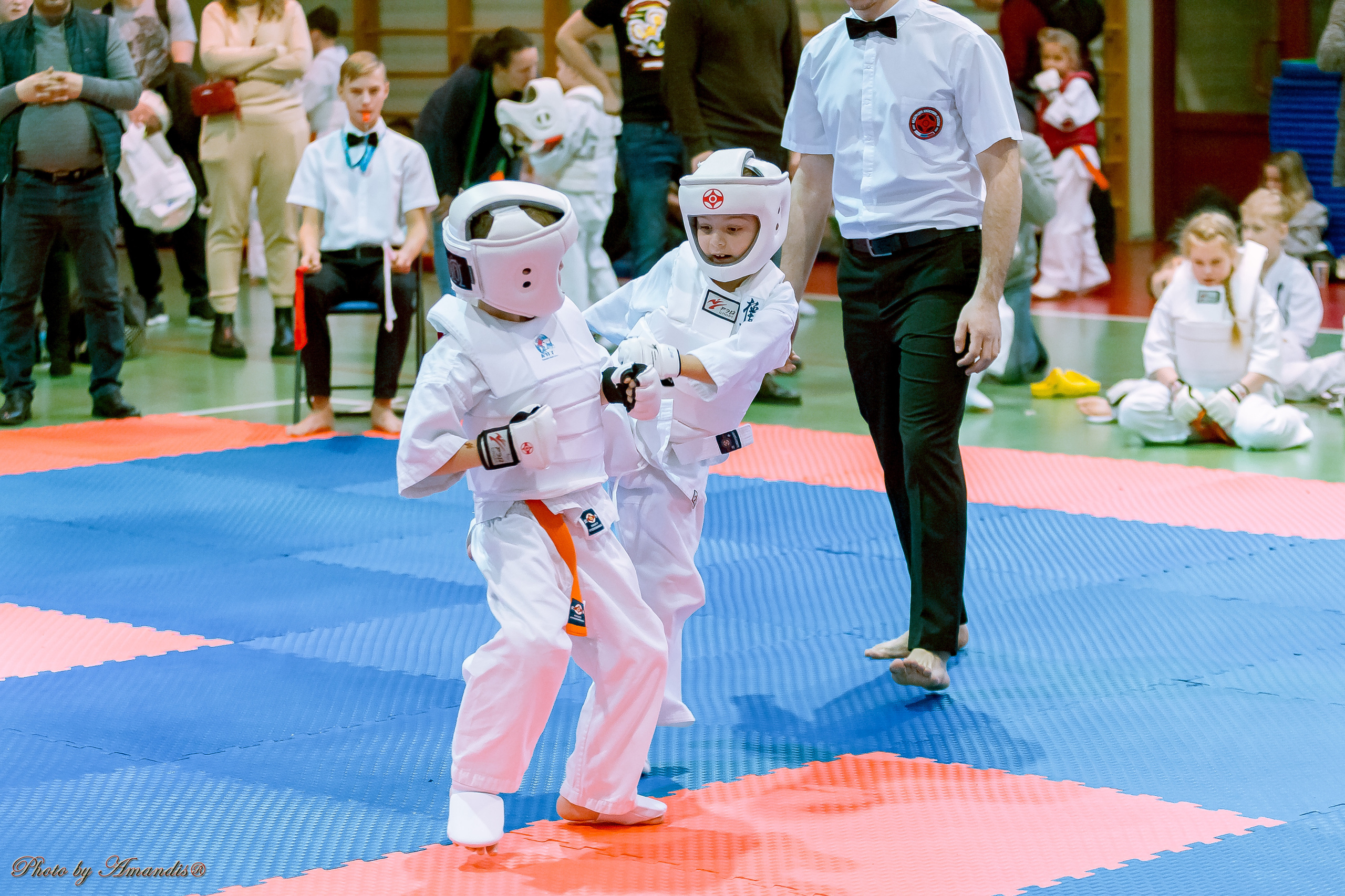 Кубок Seiken. Репортажная съемка в Москве и области. Анималистика