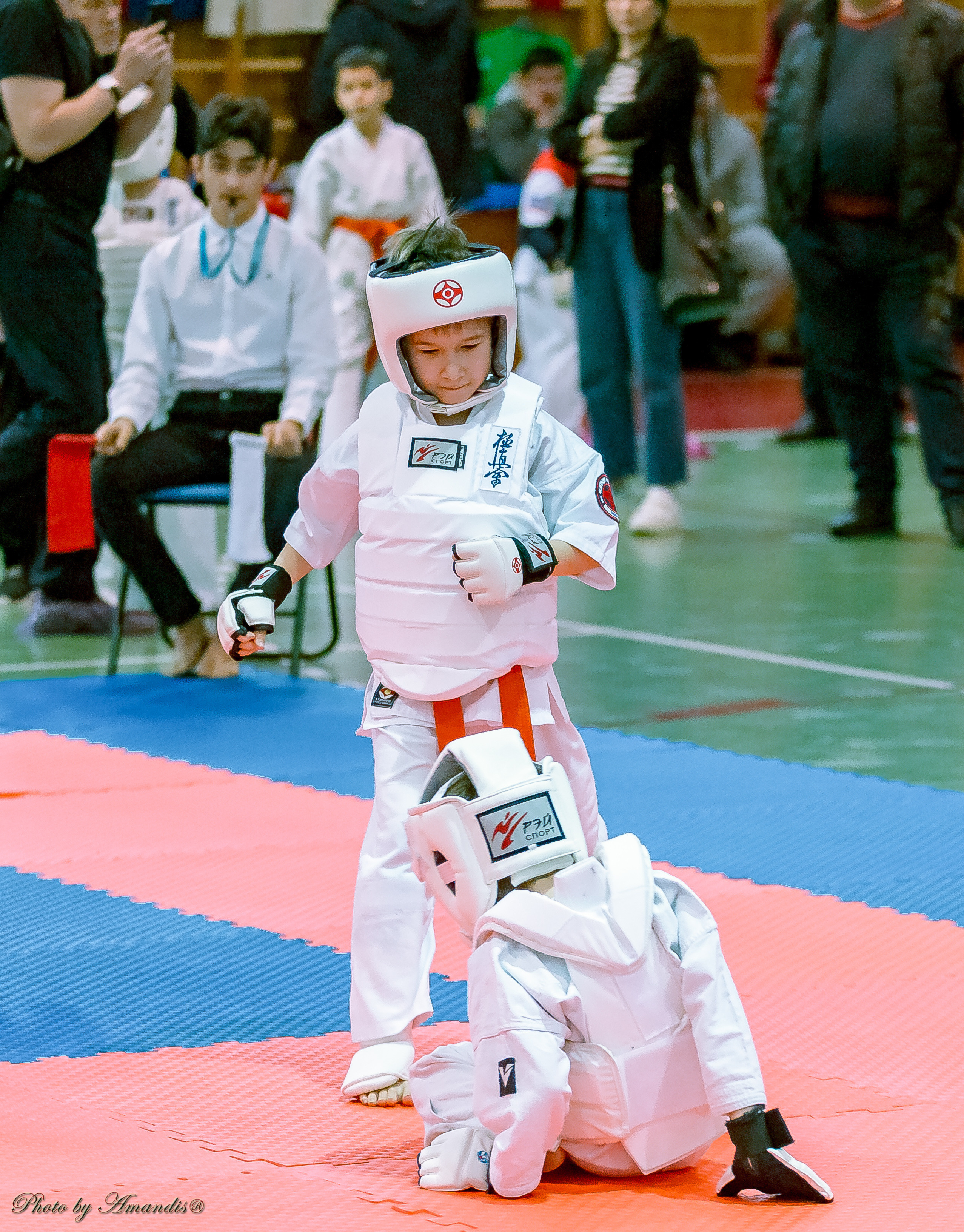 Кубок Seiken. Репортажная съемка в Москве и области. Анималистика