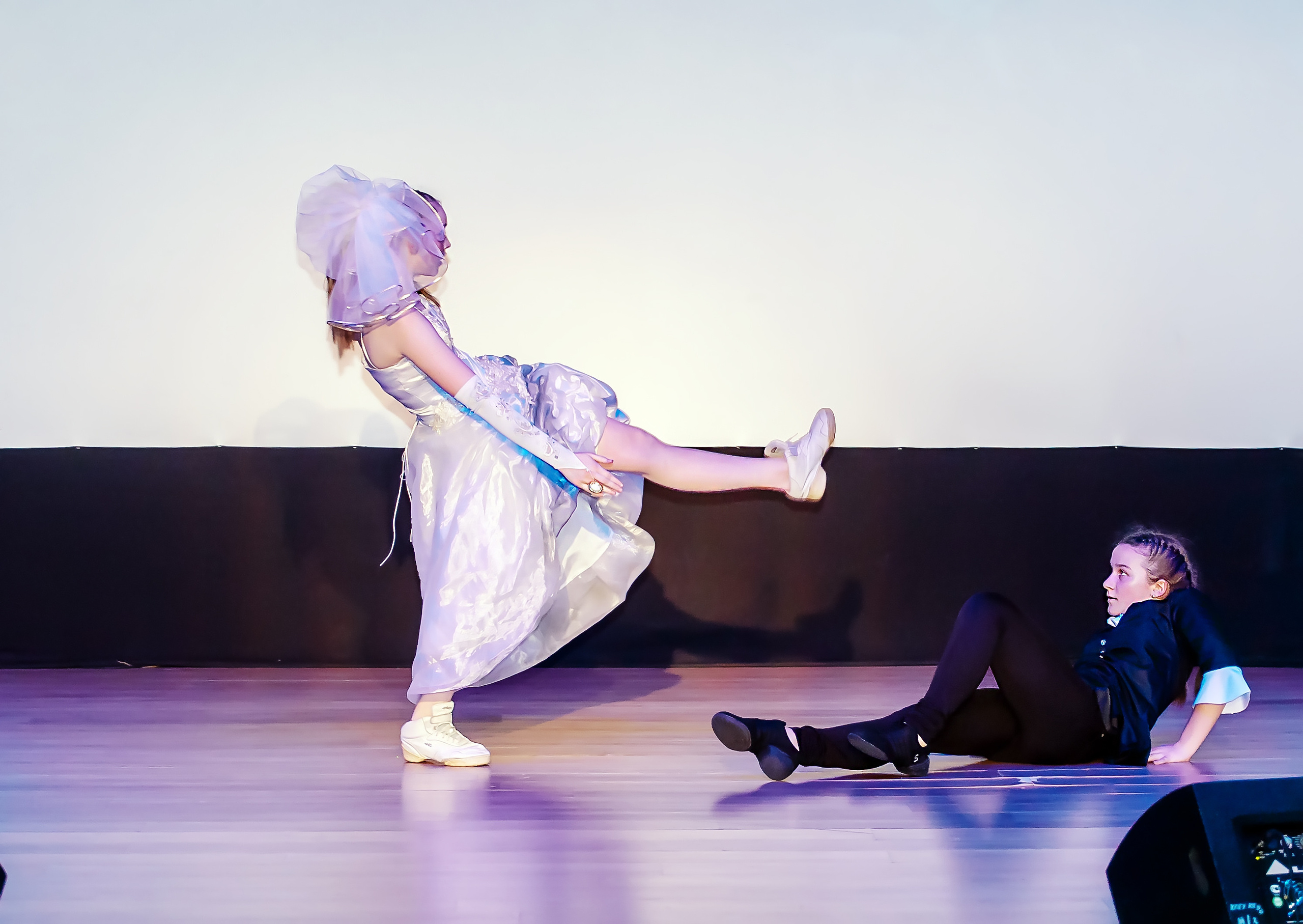 Отчетный концерт молодых творческих коллективов. Репортажная съемка в Москве и области. Анималистика