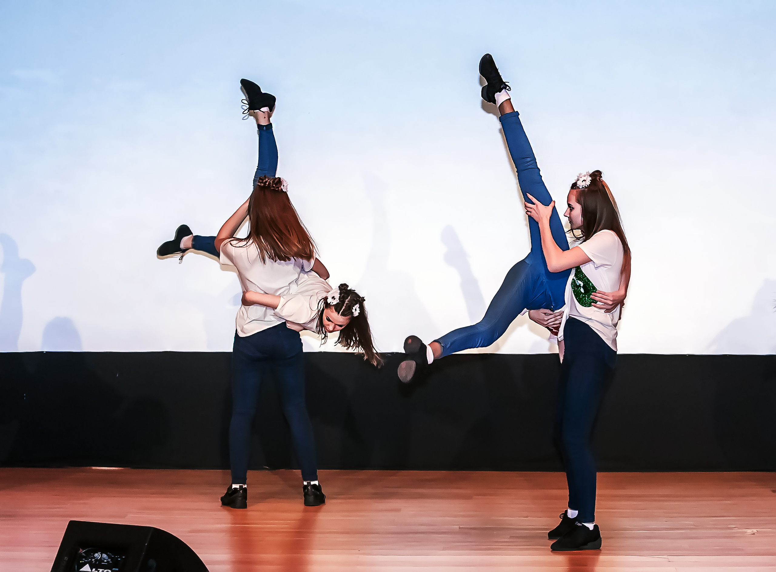 Отчетный концерт молодых творческих коллективов. Репортажная съемка в Москве и области. Анималистика