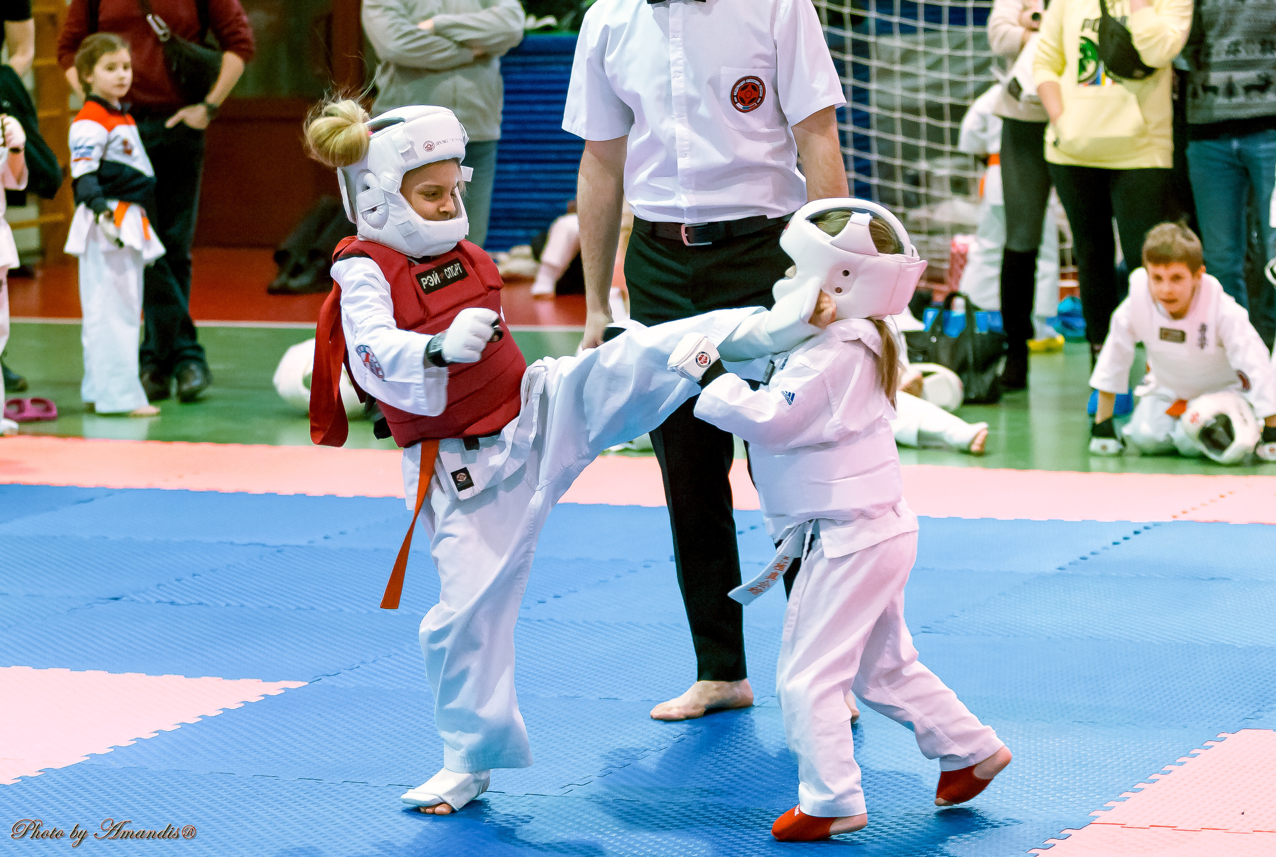Кубок Seiken. Репортажная съемка в Москве и области. Анималистика