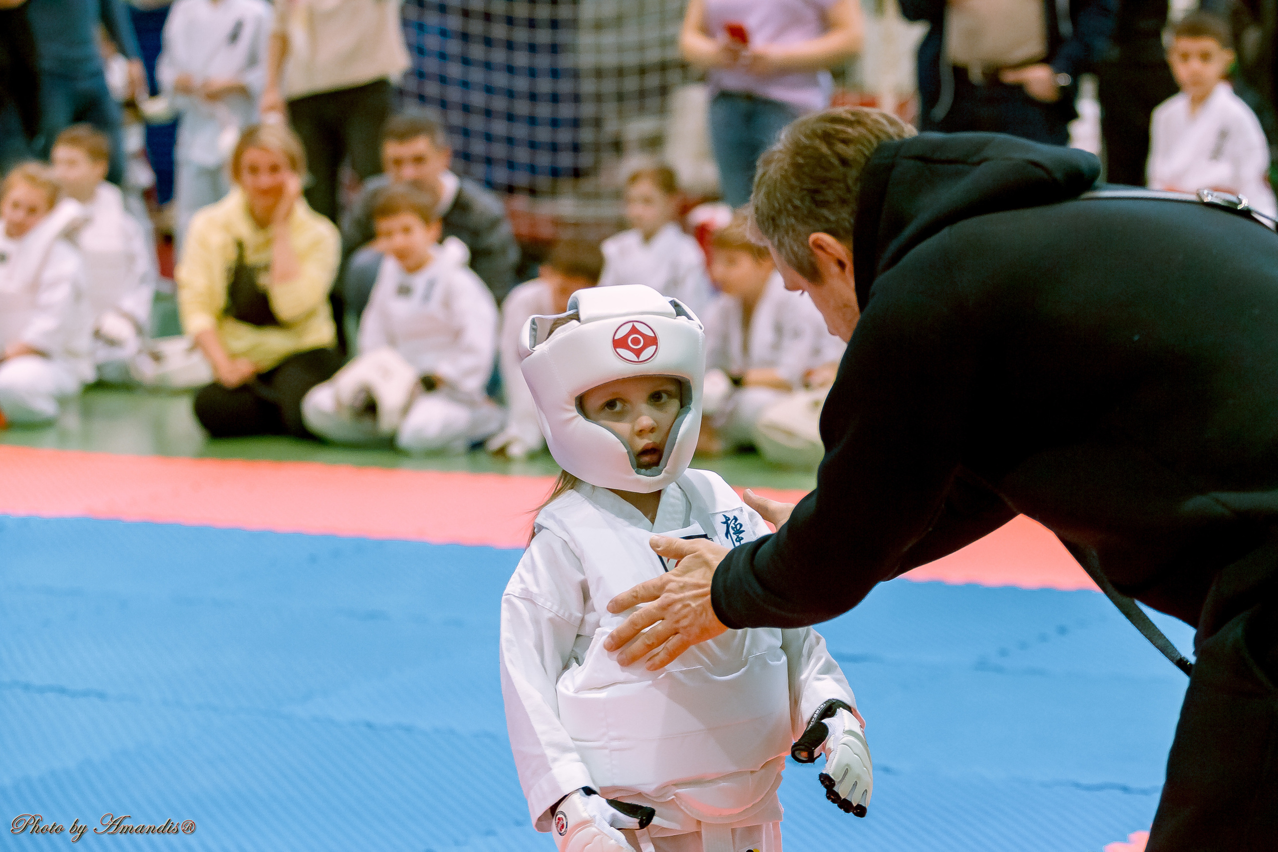 Кубок Seiken. Репортажная съемка в Москве и области. Анималистика