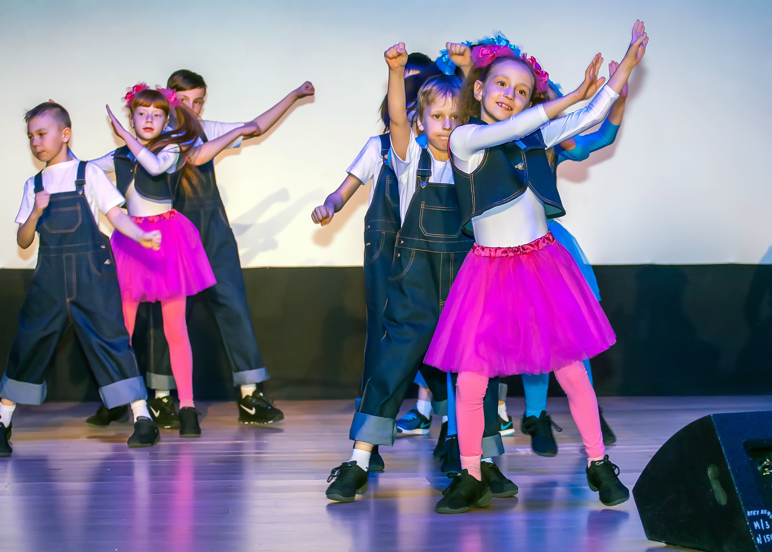 Отчетный концерт молодых творческих коллективов. Репортажная съемка в Москве и области. Анималистика