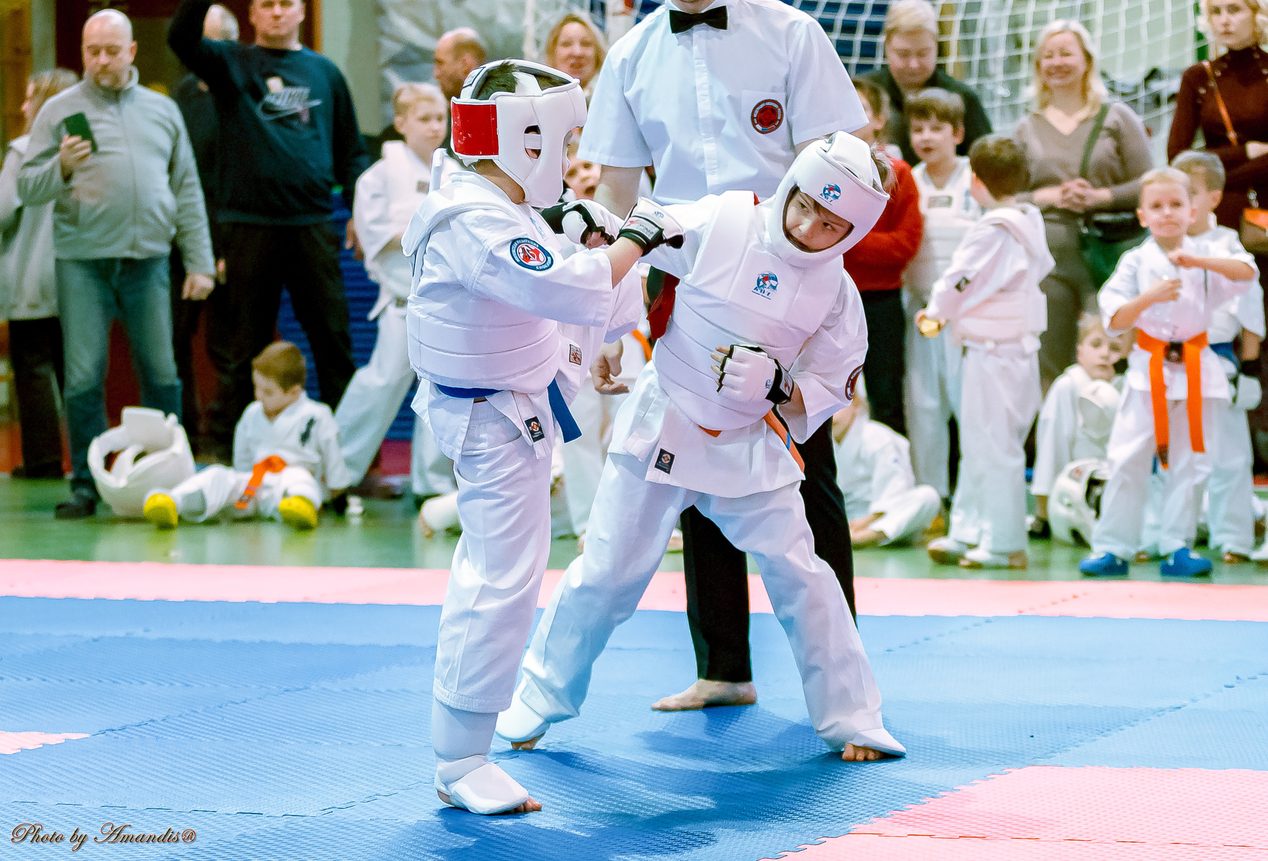 Кубок Seiken. Репортажная съемка в Москве и области. Анималистика