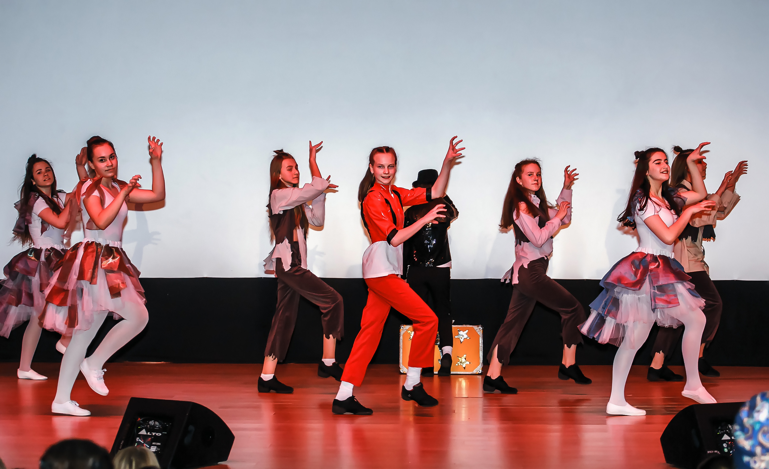 Отчетный концерт молодых творческих коллективов. Репортажная съемка в Москве и области. Анималистика