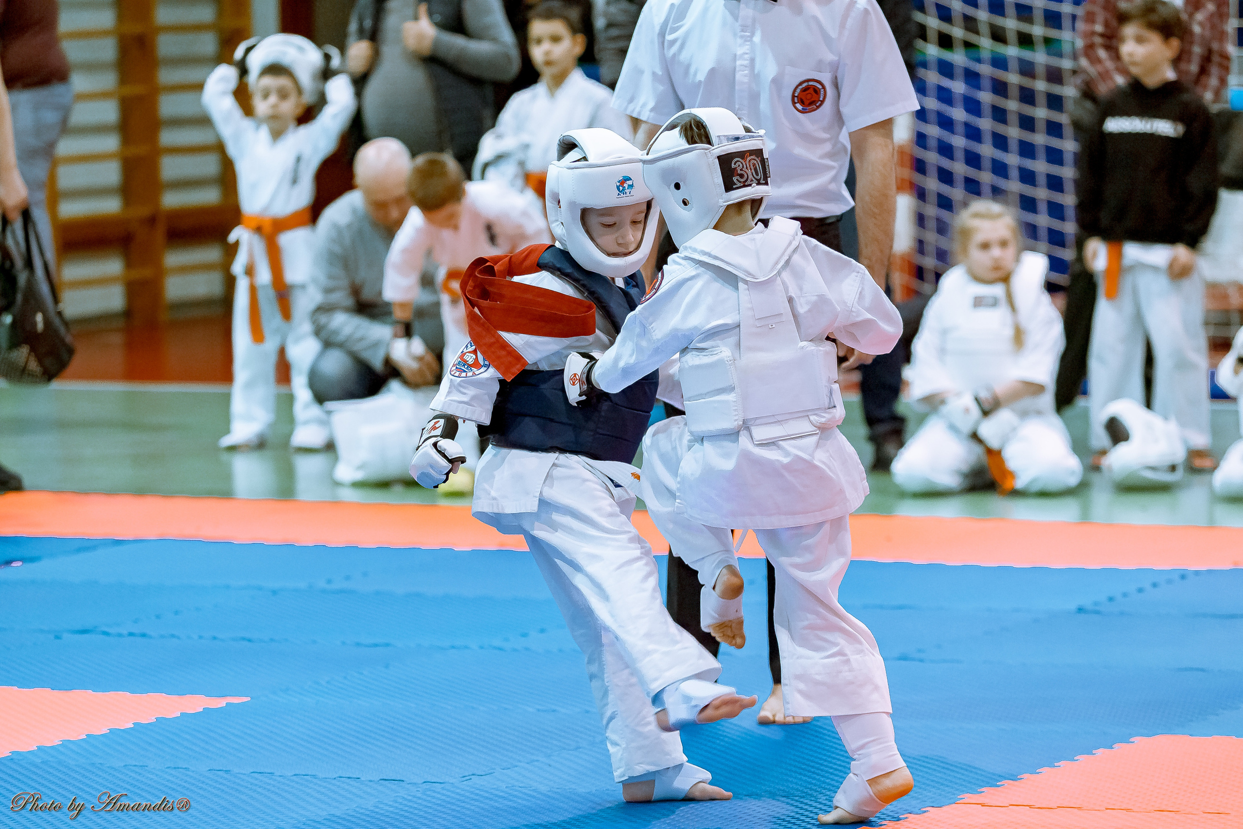 Кубок Seiken. Репортажная съемка в Москве и области. Анималистика