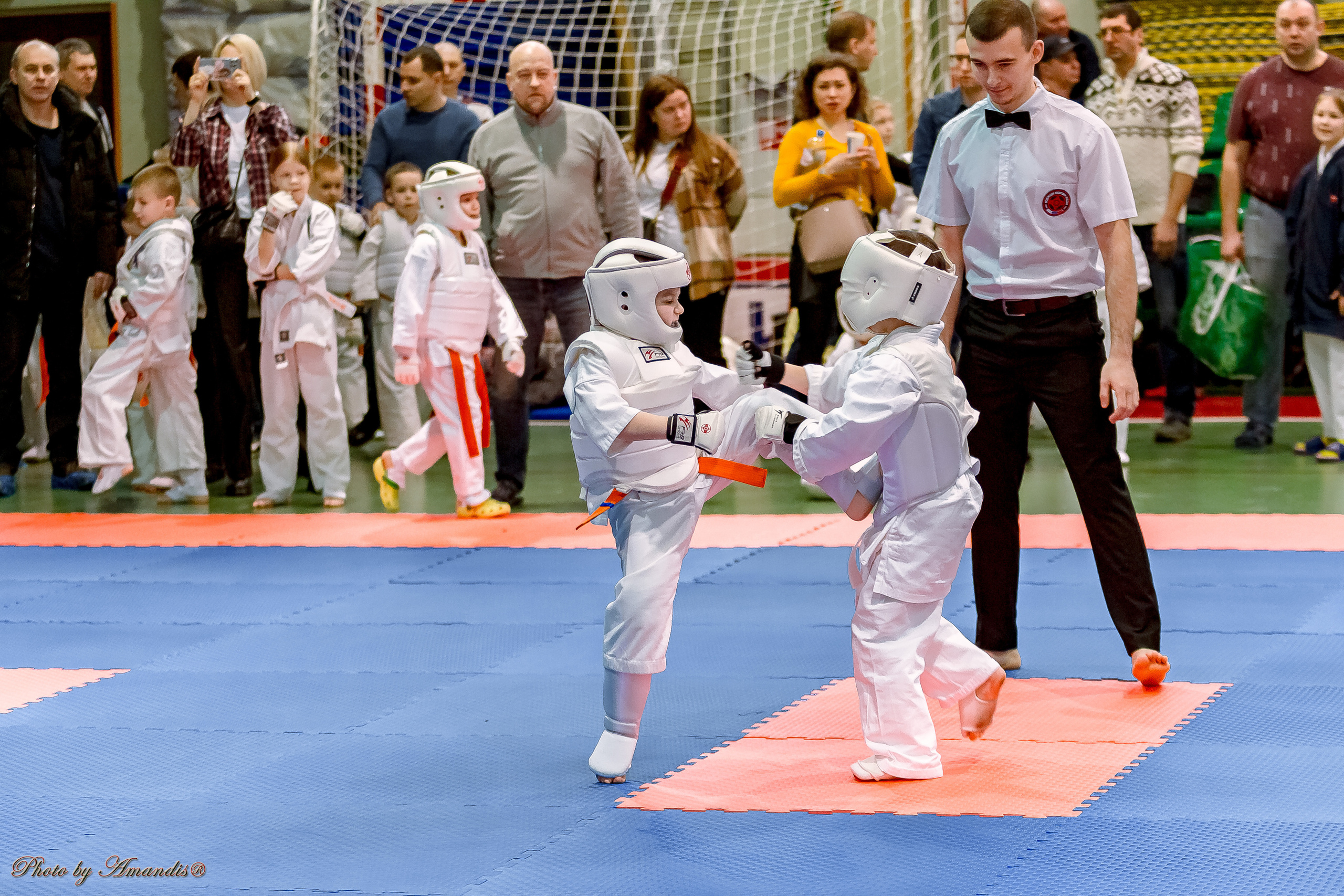 Кубок Seiken. Репортажная съемка в Москве и области. Анималистика