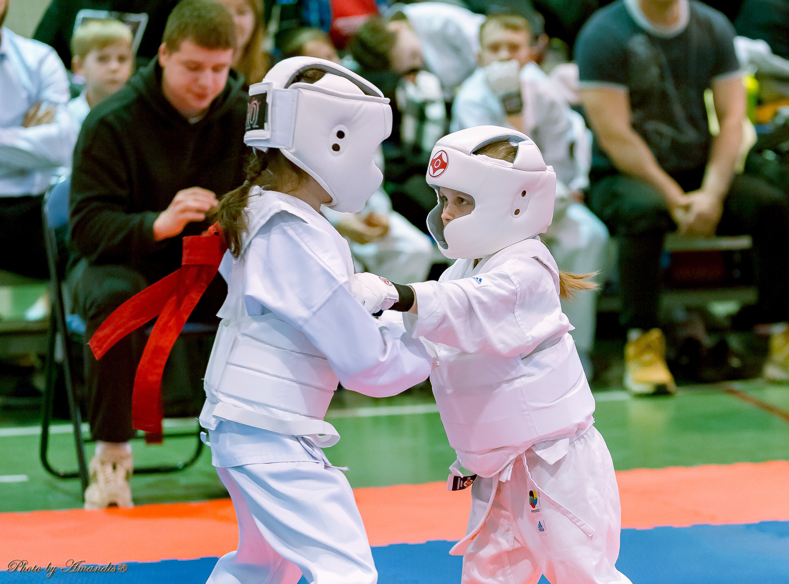 Кубок Seiken. Репортажная съемка в Москве и области. Анималистика